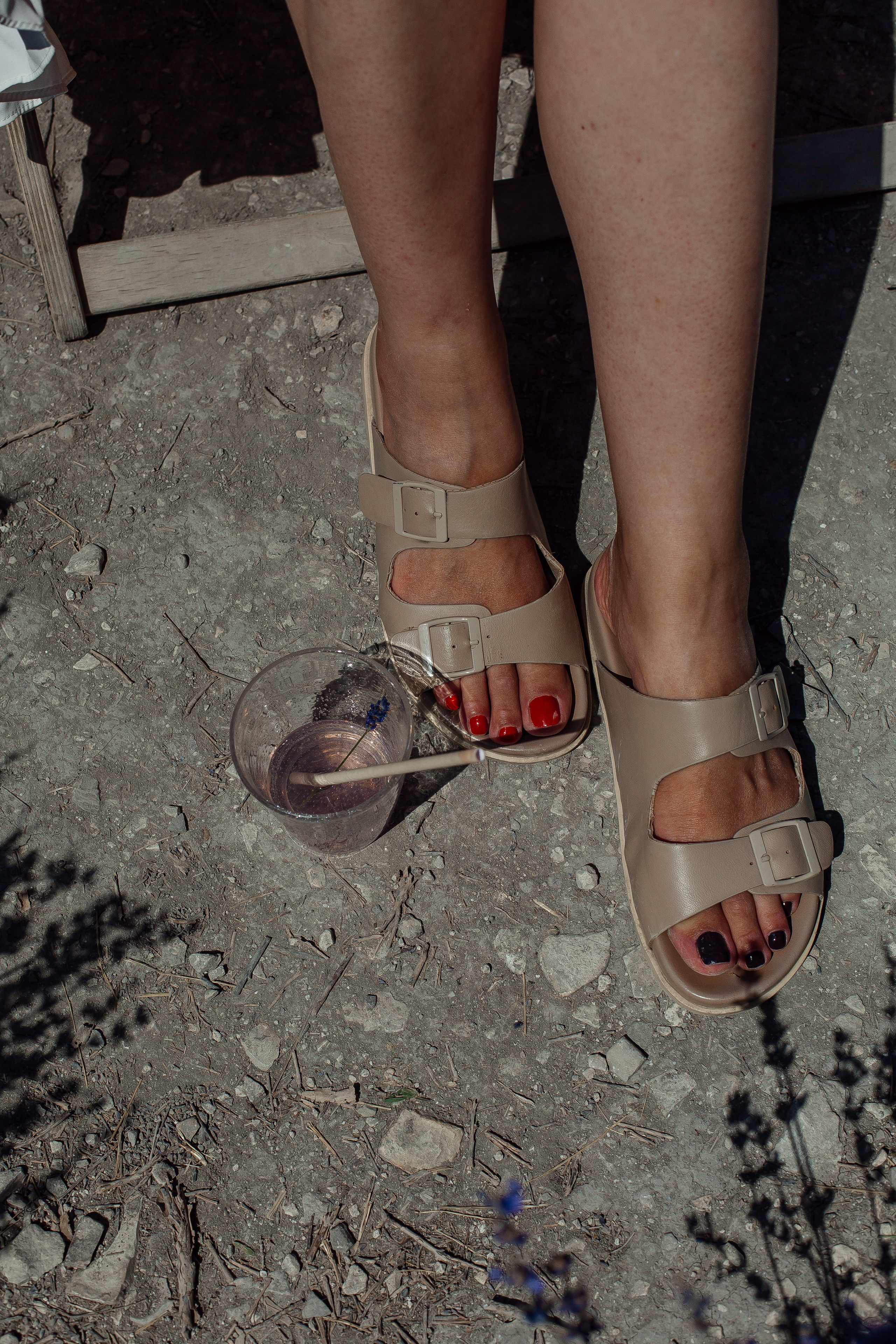 Лавандовые поля