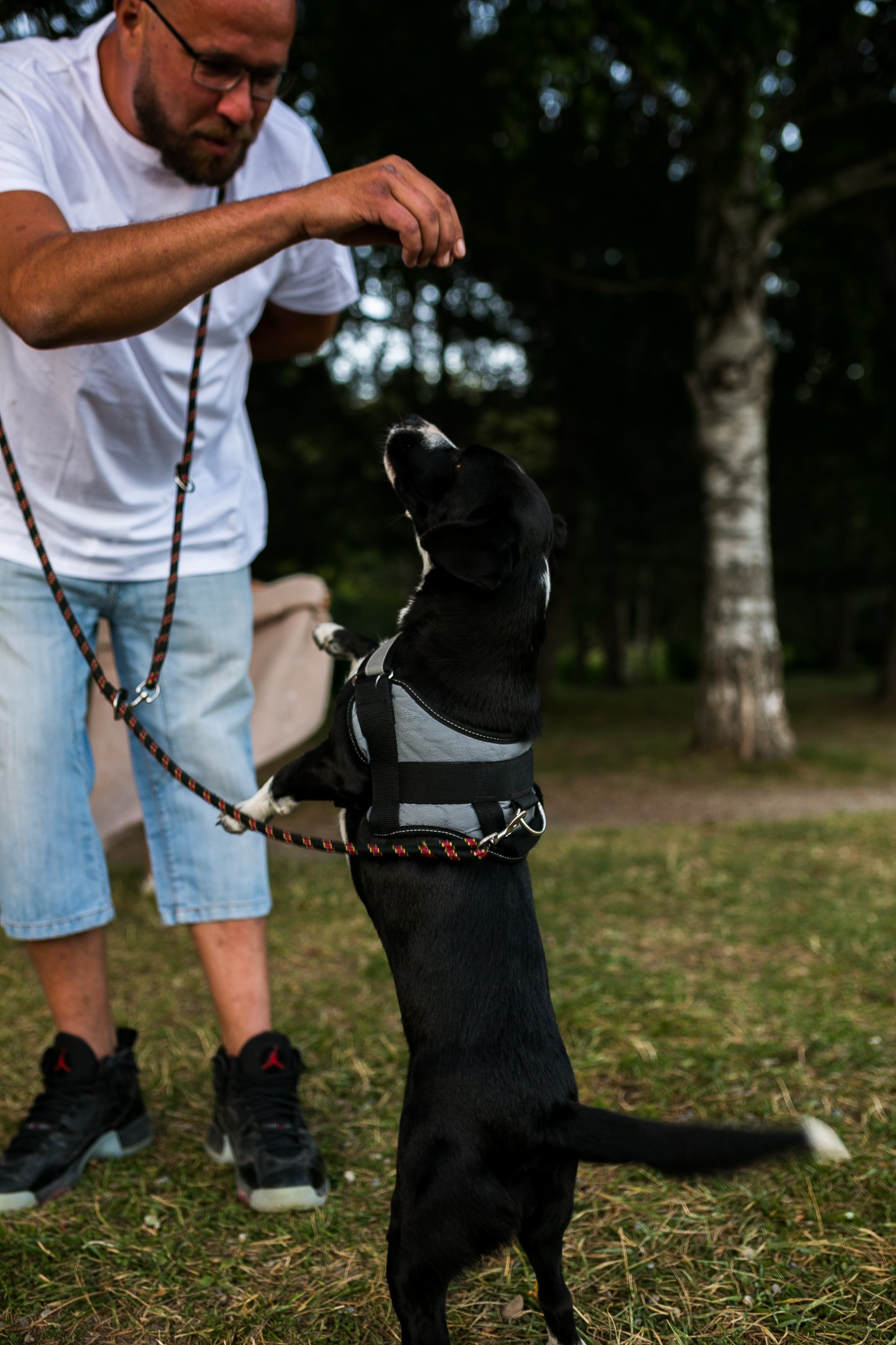 Стив, Шарли, Каро, Тэа, Нора