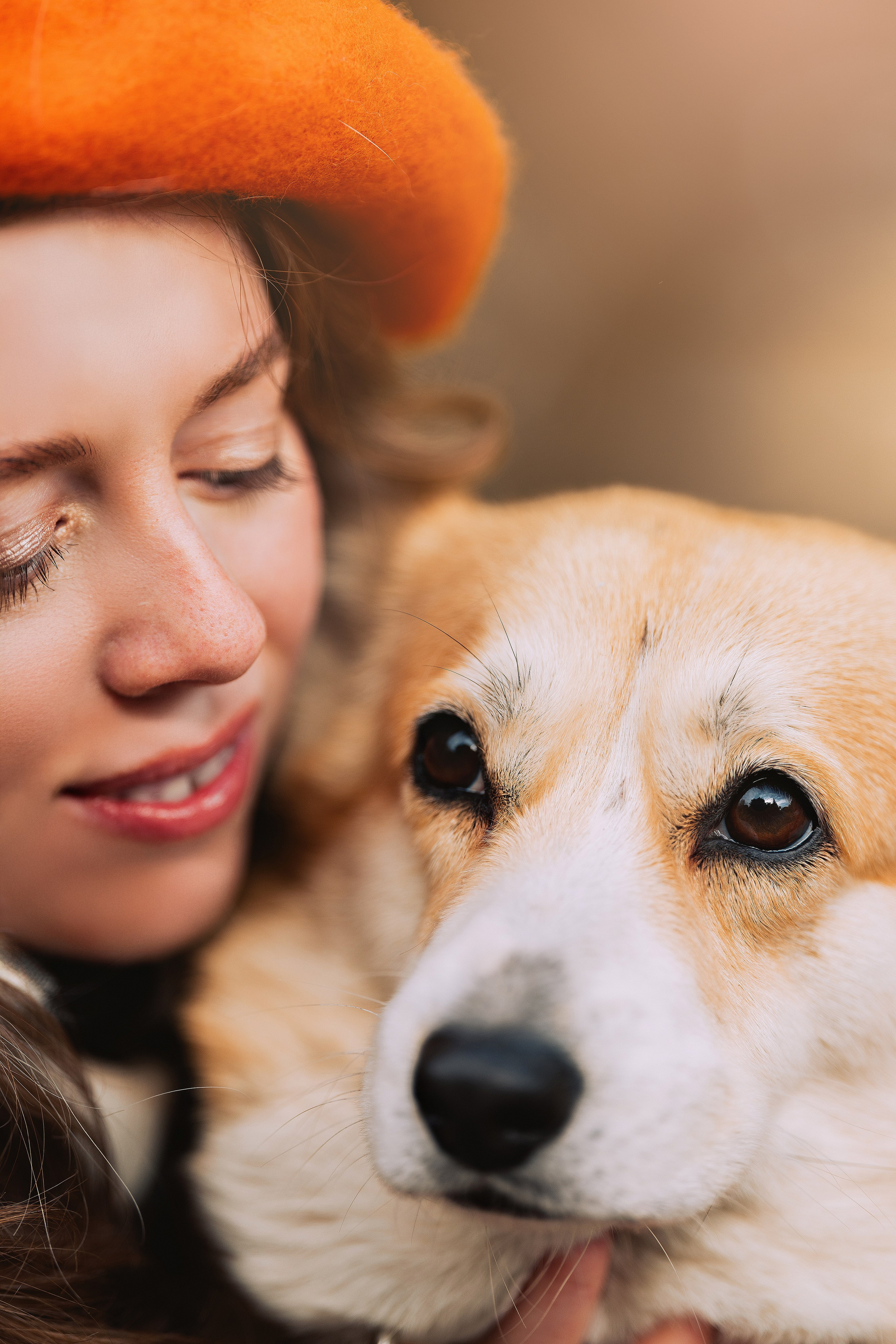 Золотая осень с корги. Свадебный и семейный фотограф в Рязани Датская Ксения