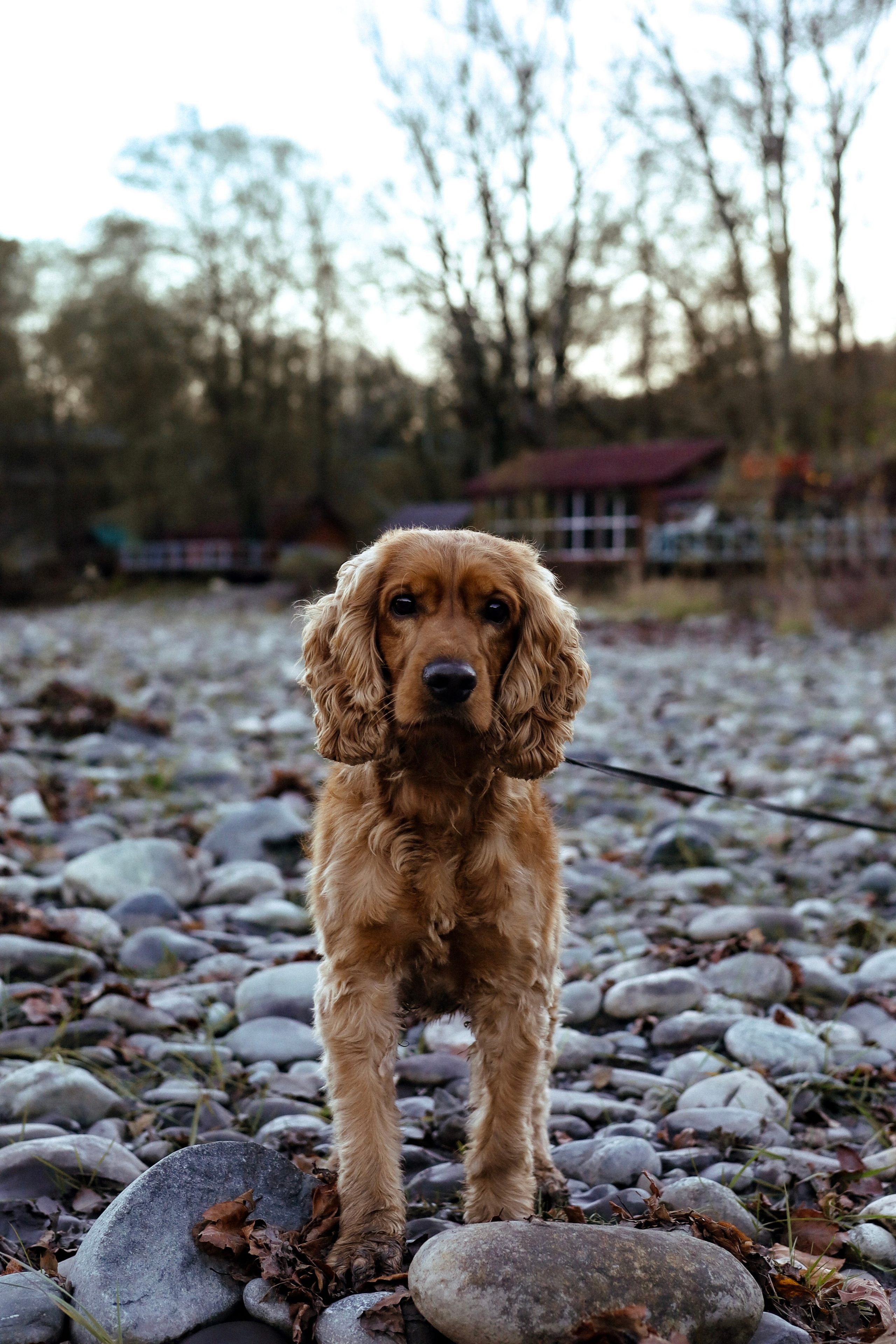 Семейная съемка (Даховская, Адыгея). Семейный и конный фотограф в Краснодарском крае и Адыгее