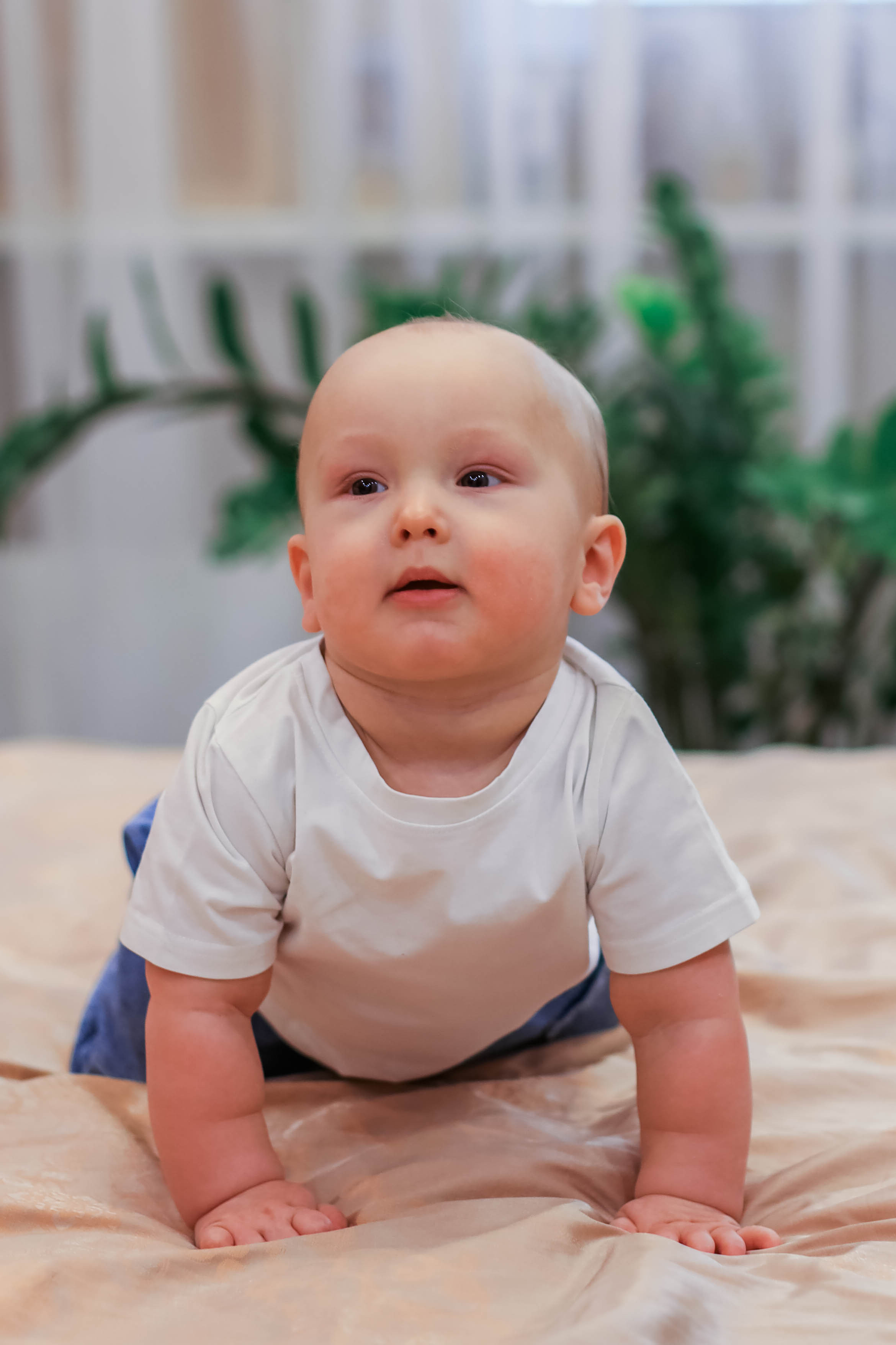 Family. Семейный, детский, свадебный фотограф в Москве, Люберцах