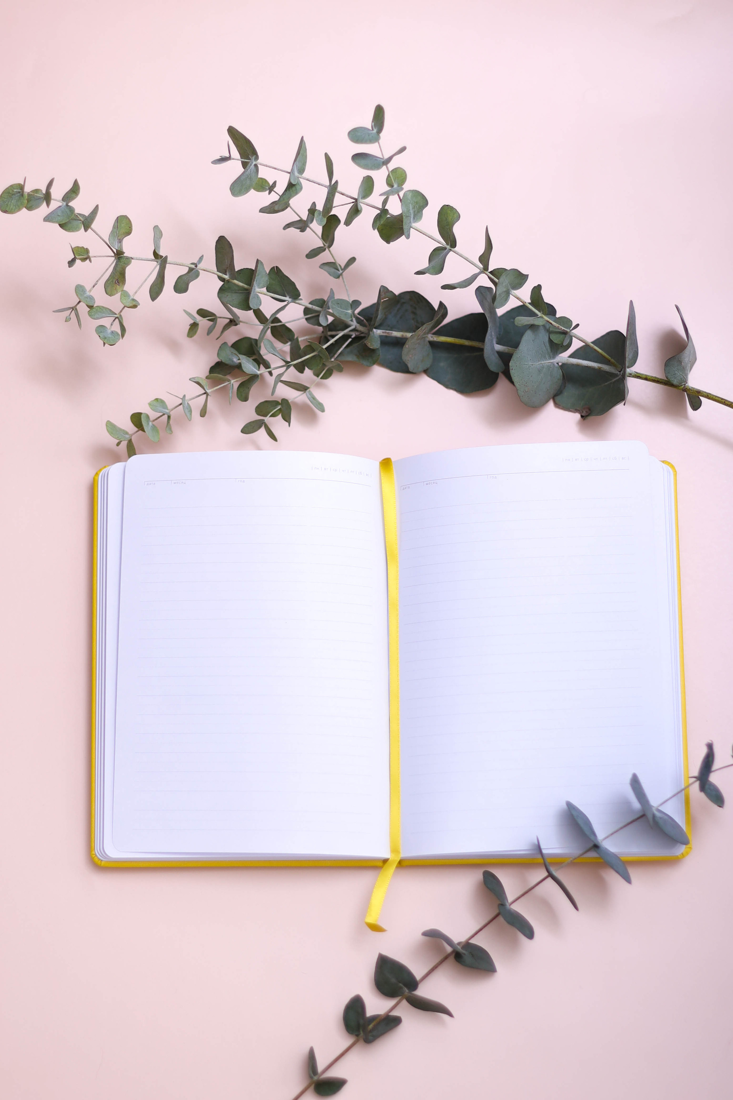 Предметная съемка. Семейный, детский, свадебный фотограф в Москве, Люберцах