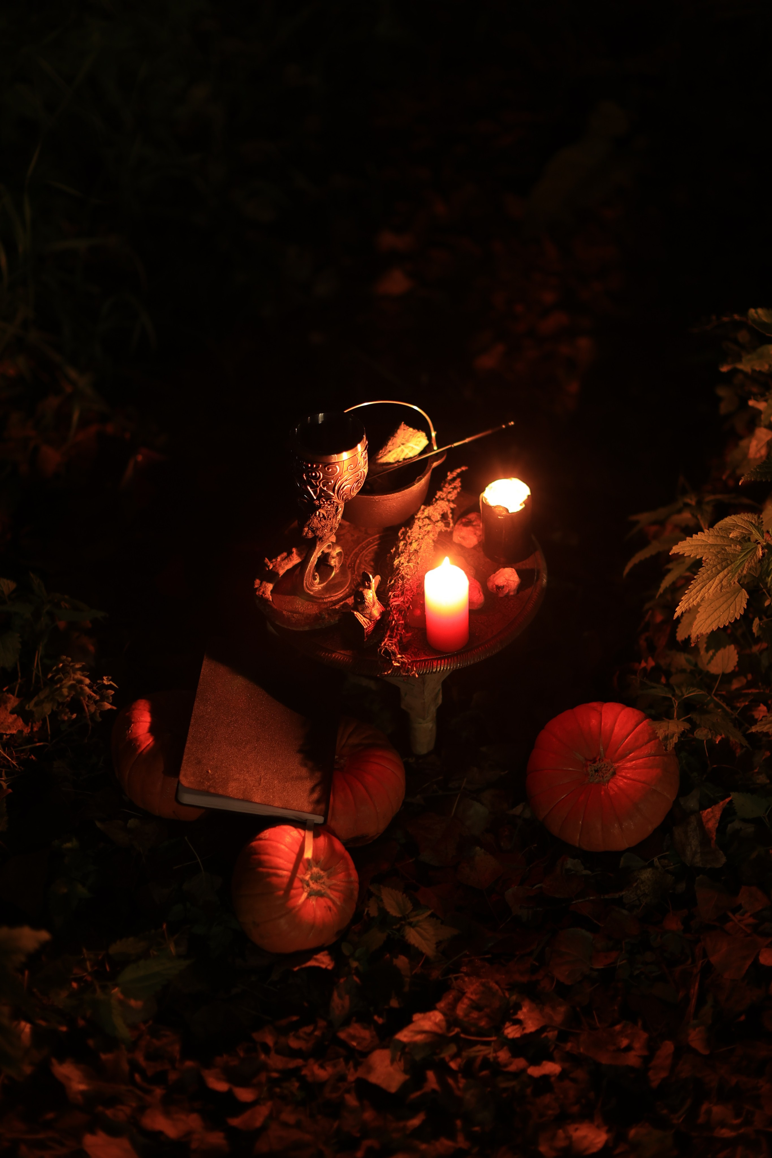 Осень-время магии. Art my Pho