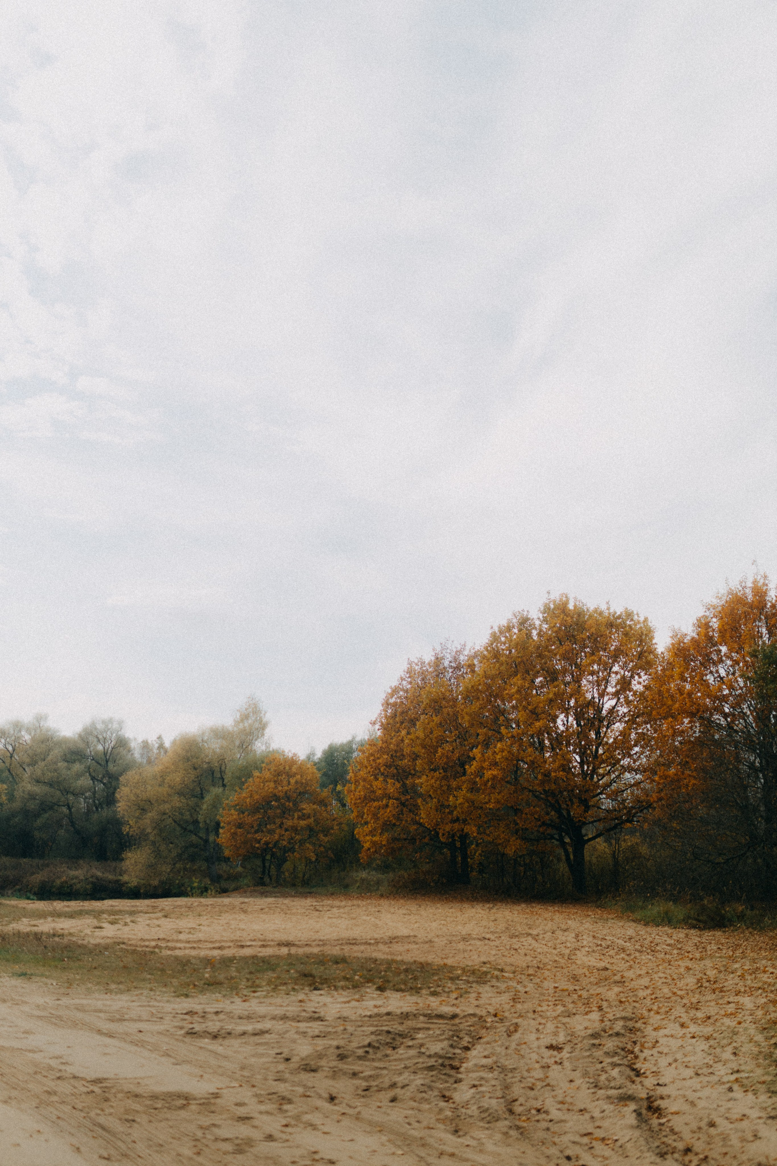 Ксюша & Федя. Прогулка с Лайдом. Фотограф НОГИНСК, Москва, Анастасия Белая
