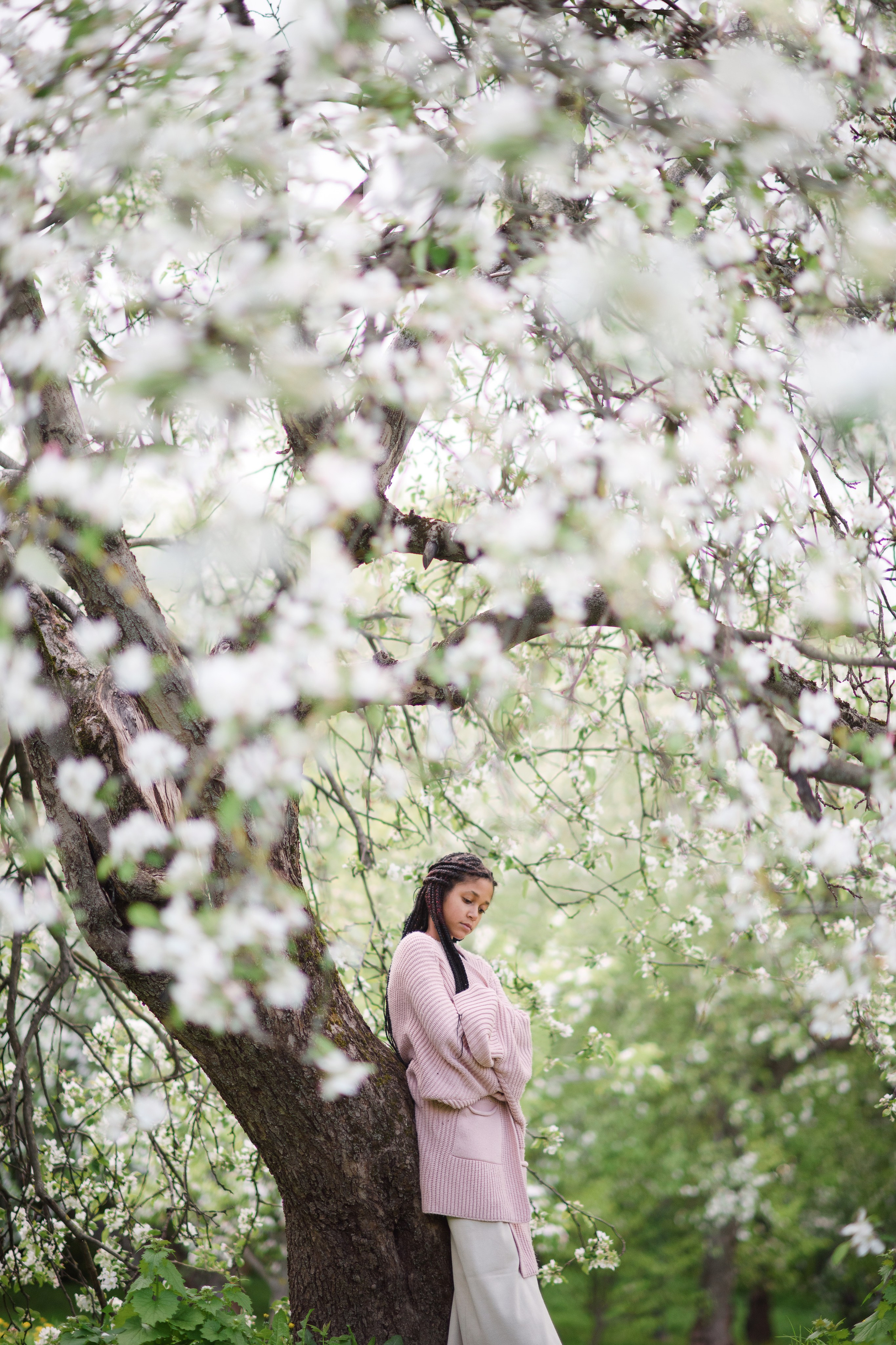 Яблони в Коломенском. Ясмина. Главная