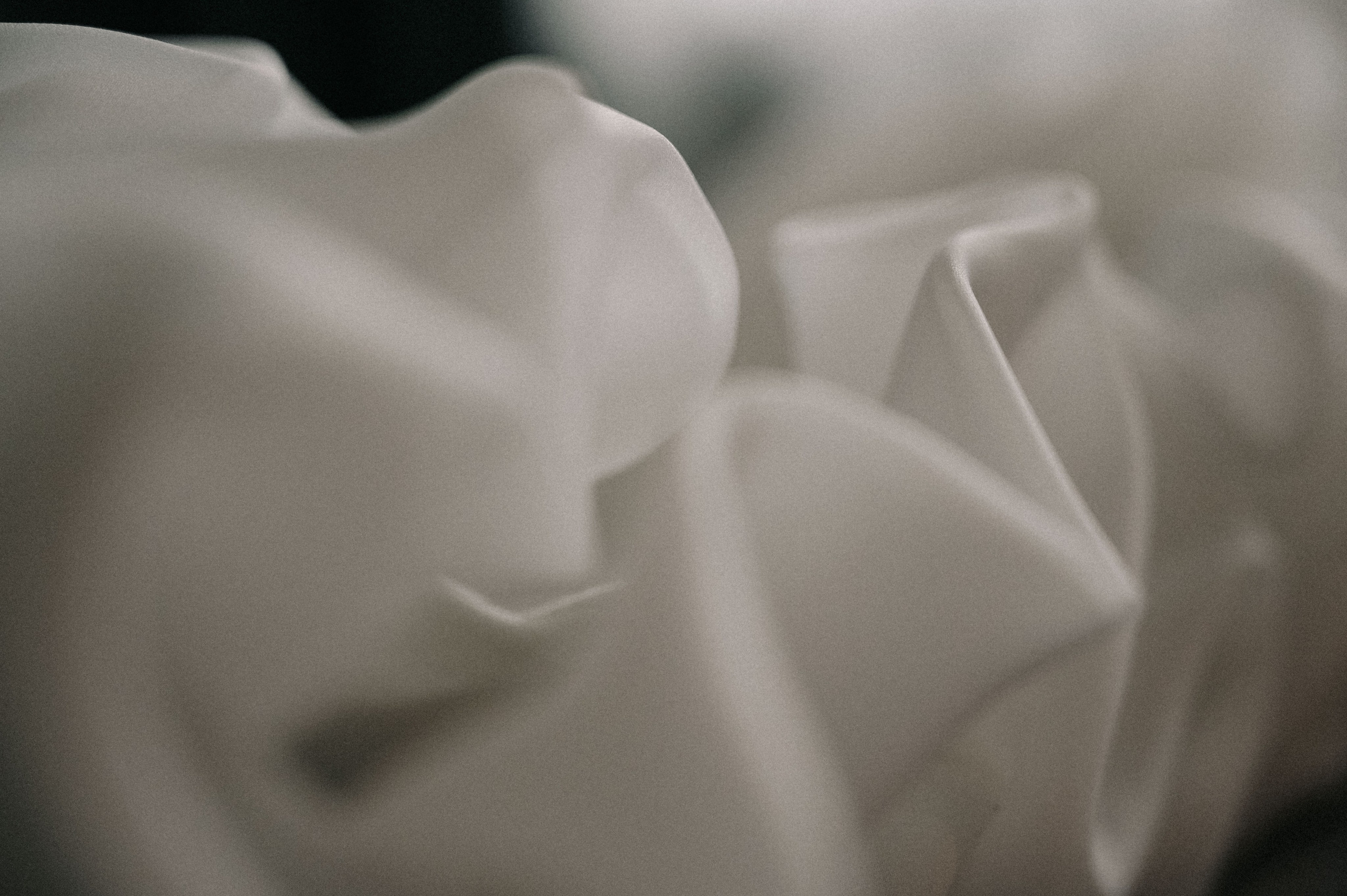 Свадебный и семейный фотограф Виктория Носачёва. Щелково, Москва и МО