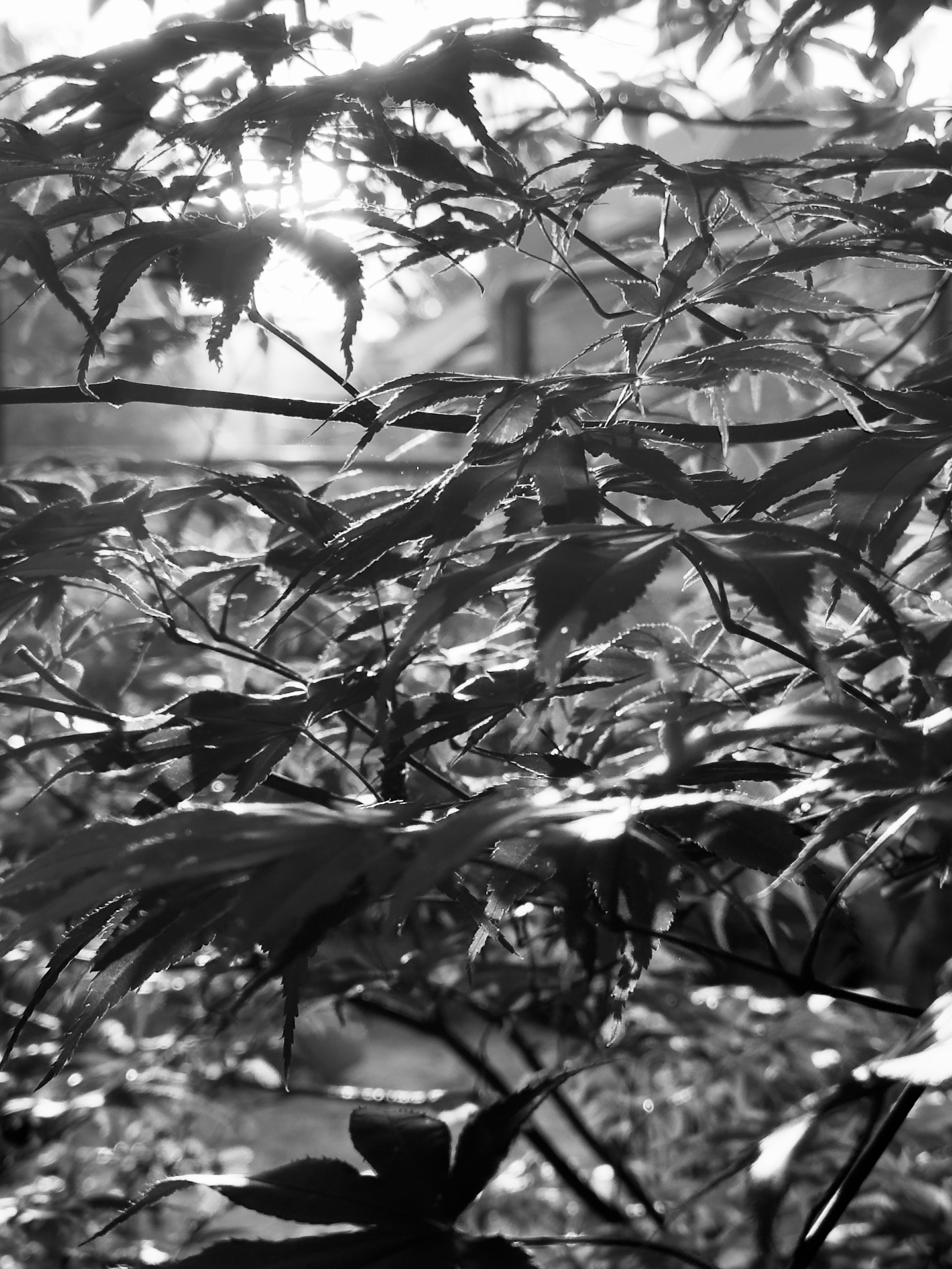 Флора и фауна. Смотри, красота!