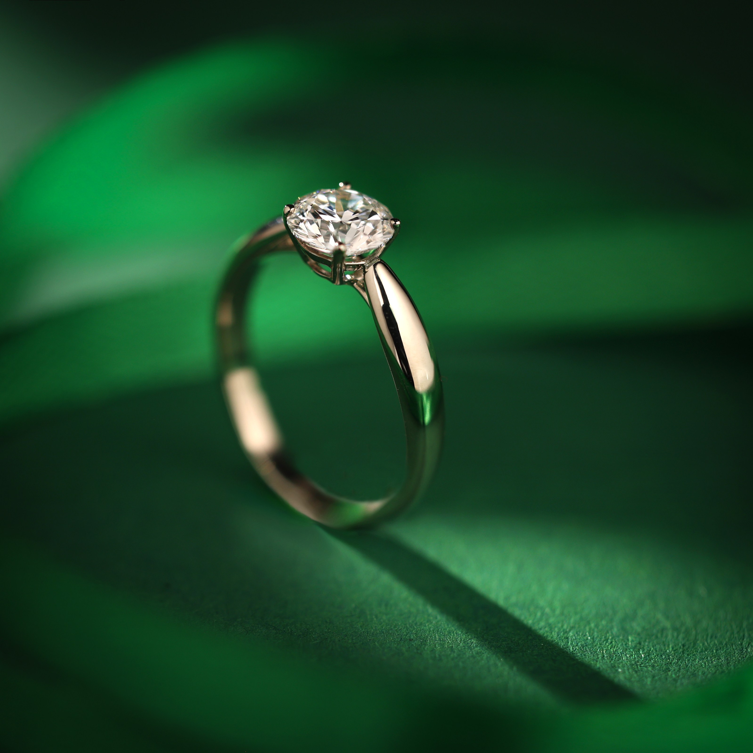 фото — натюрморты