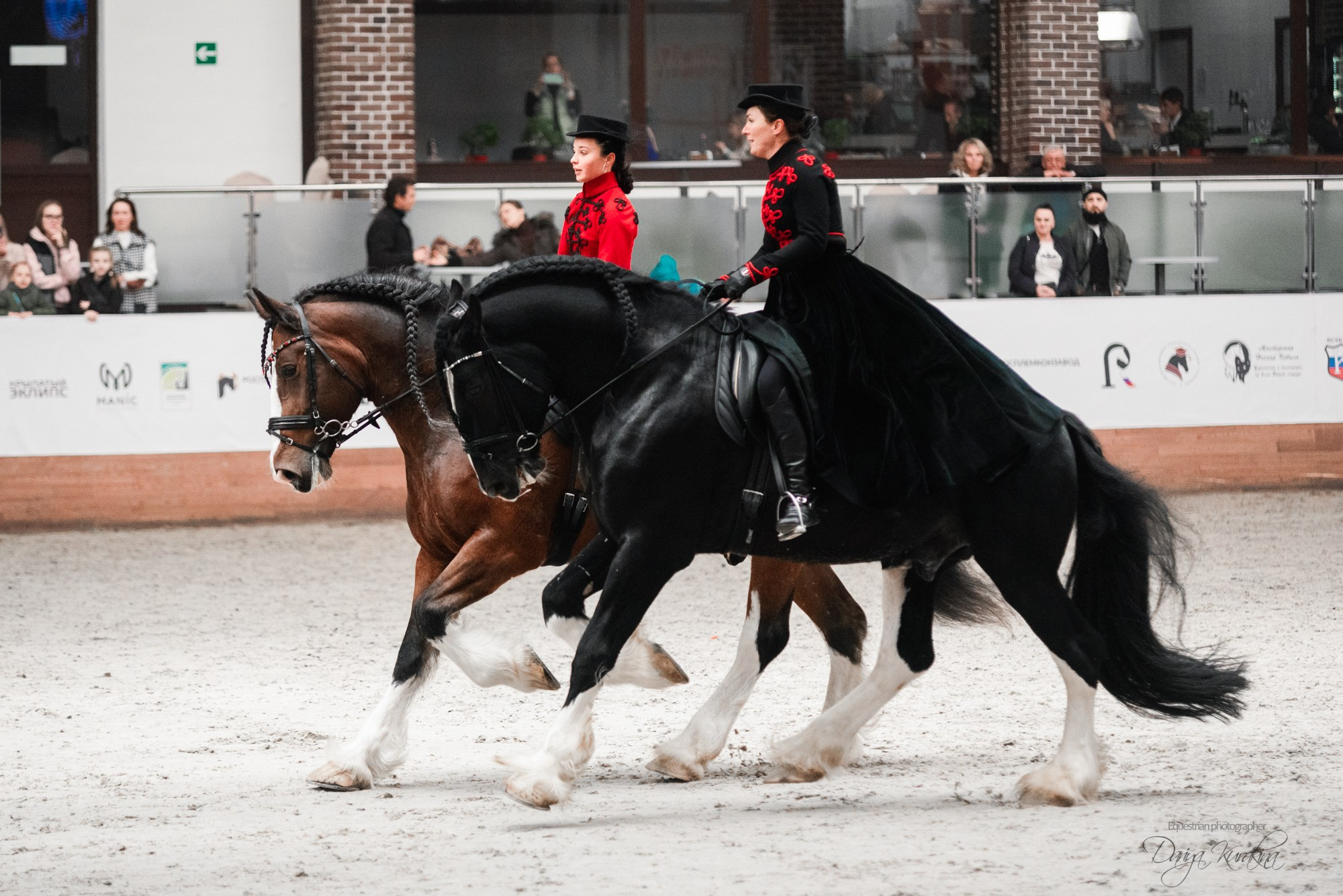 8-я международная выставка Конная Россия. Конный фотограф Куракина Дарья • Фотосессии с лошадьми