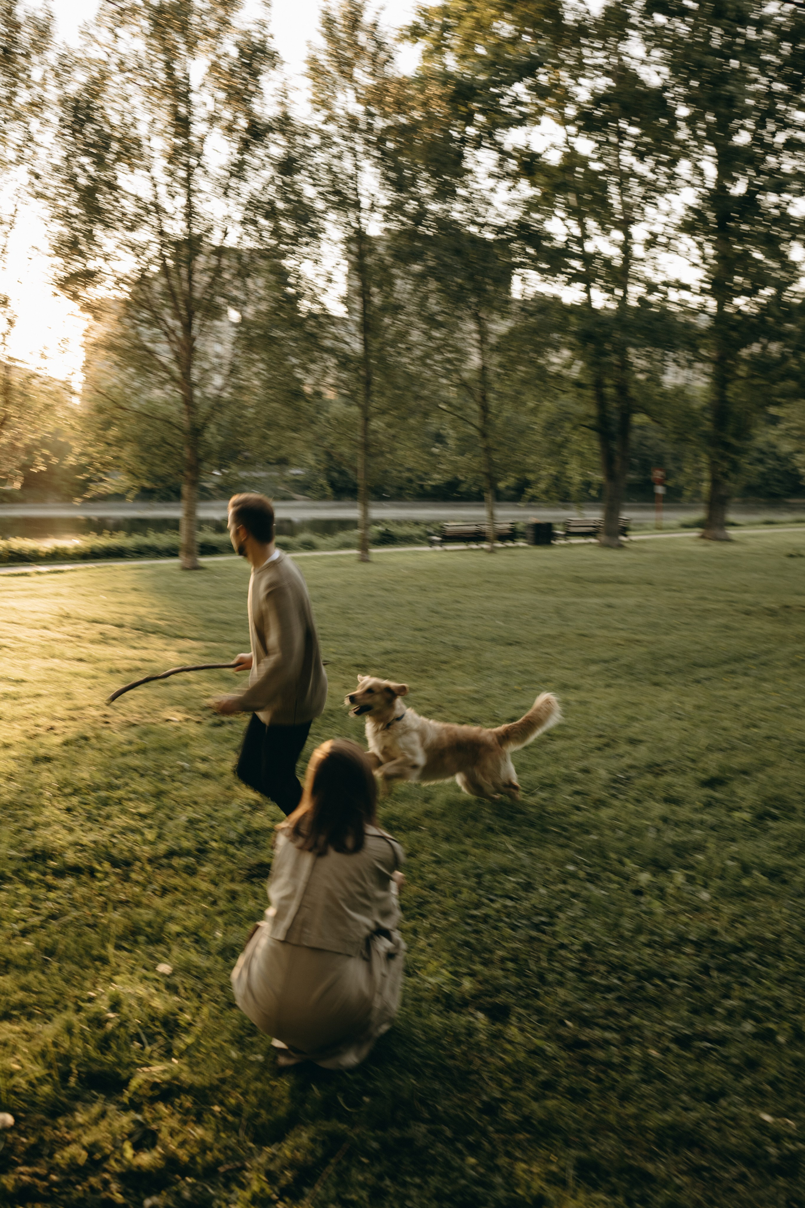 Пенни и ребята. Фотограф — Анималист | Санкт-Петербург