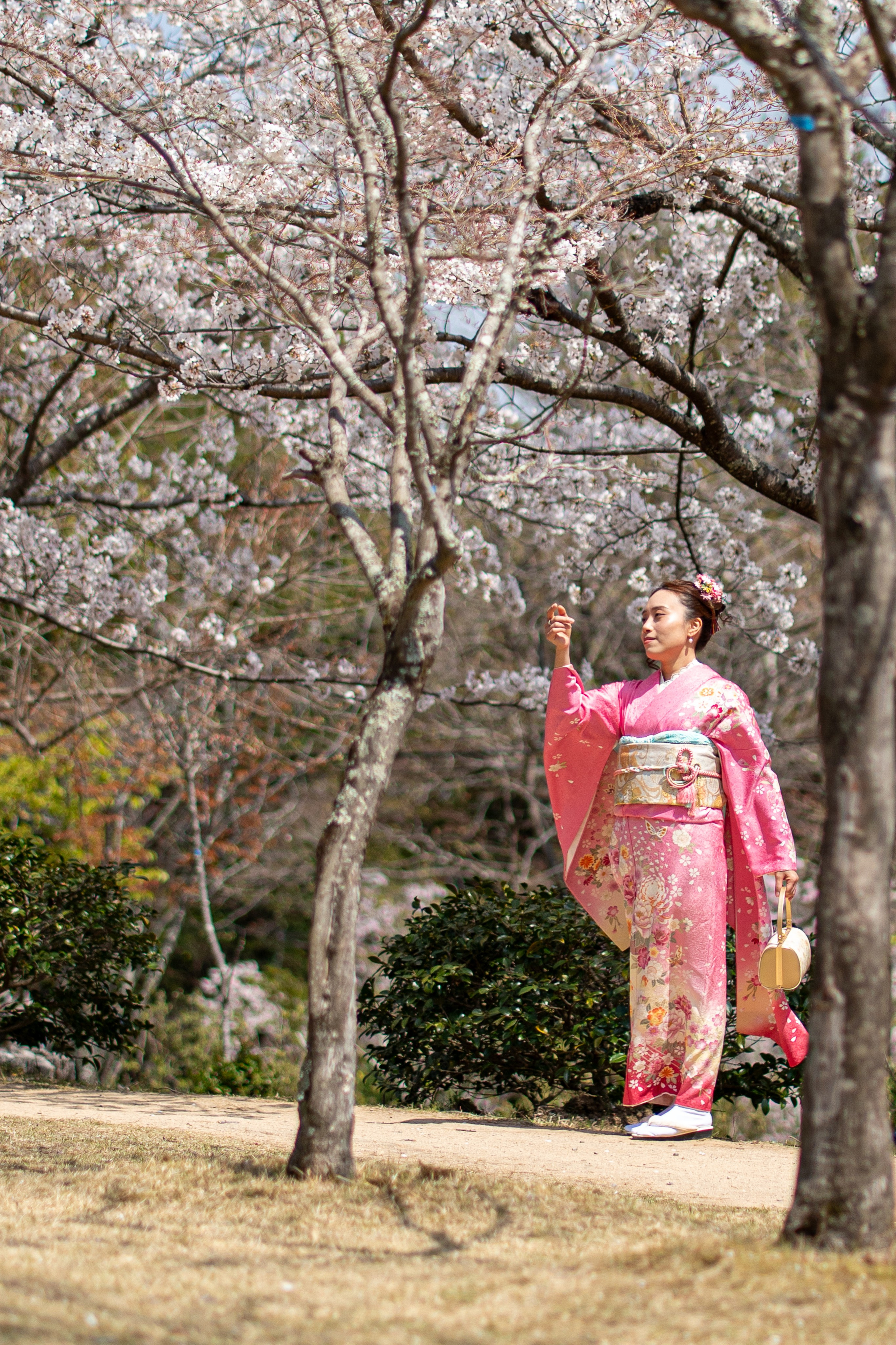 Япония, сакура. Творческие сьемки