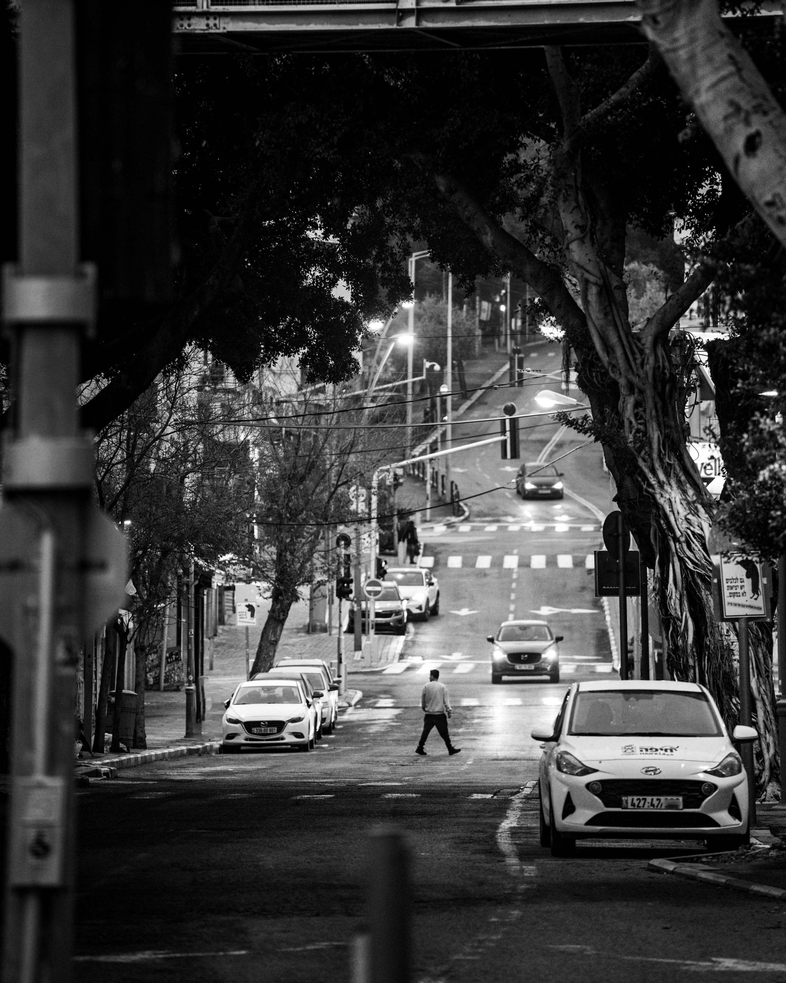 ИЗРАИЛЬ. Family and travel photographer from Israel