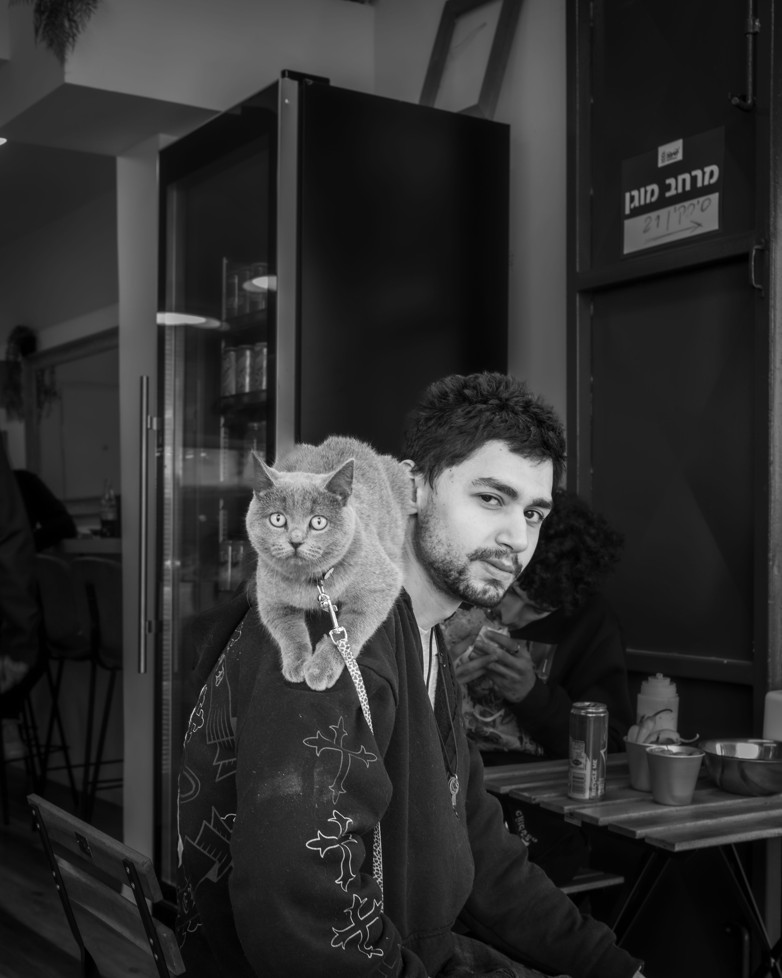 ИЗРАИЛЬ. Family and travel photographer from Israel