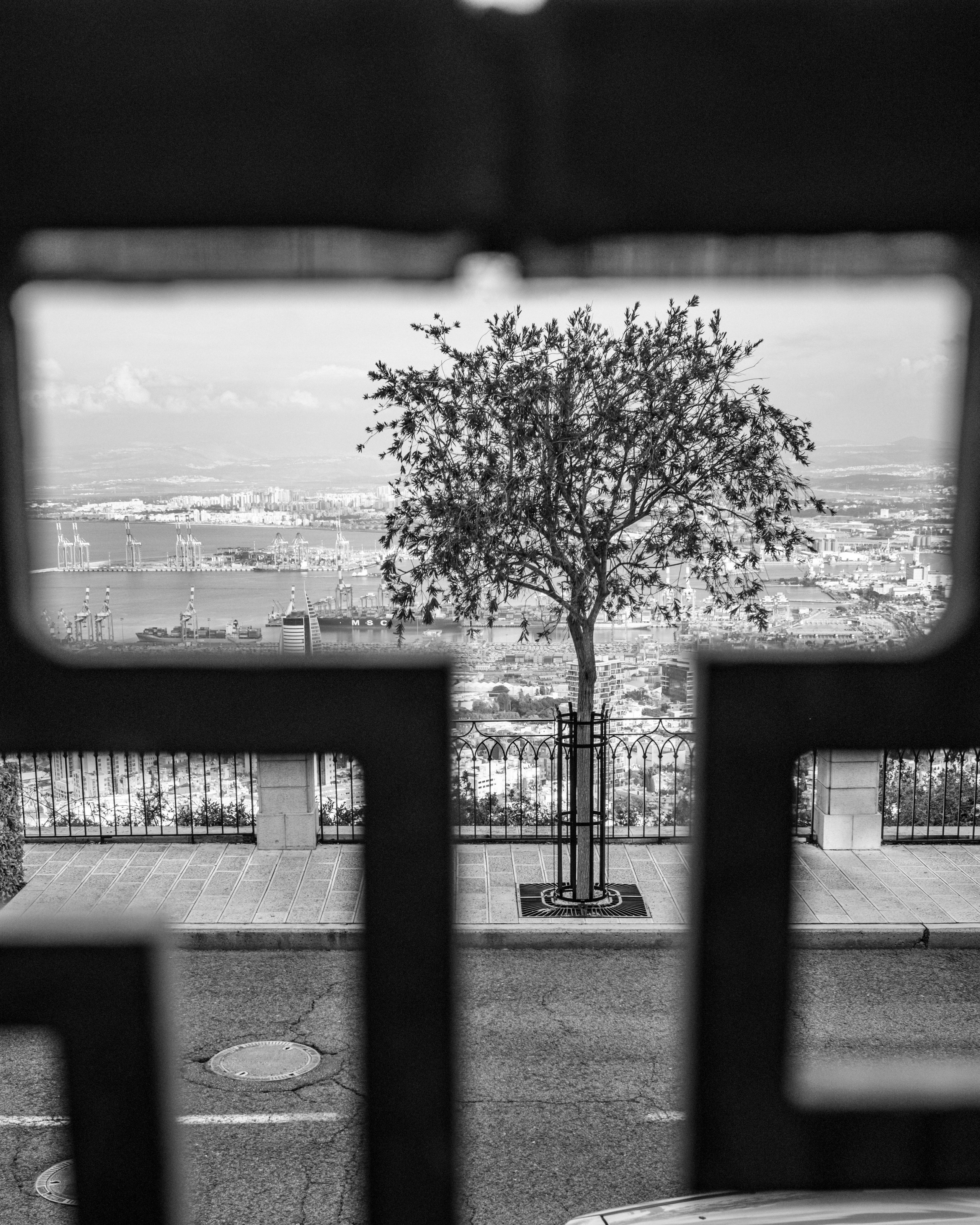 ИЗРАИЛЬ. Family and travel photographer from Israel