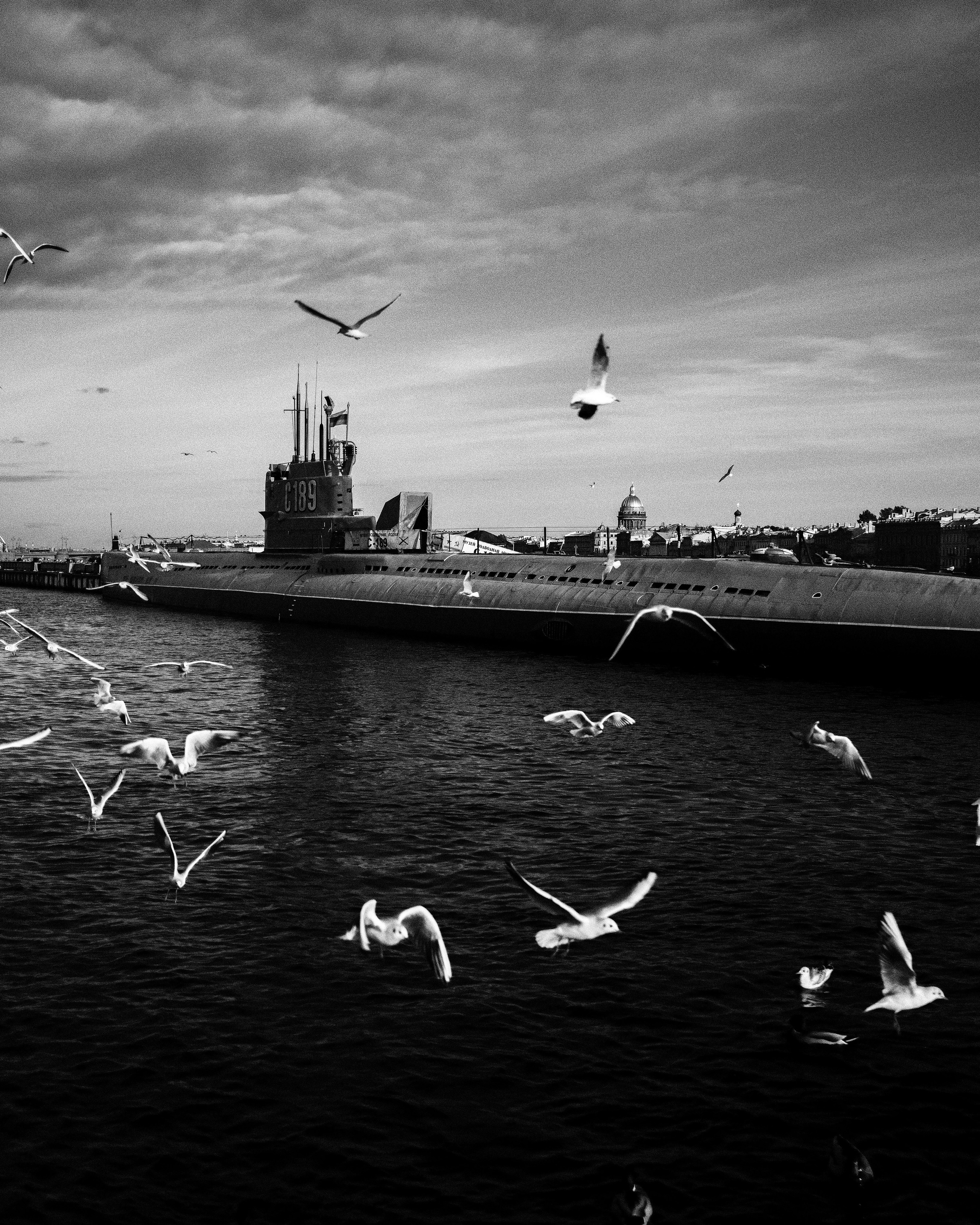 STREET / TRAVEL. Family and travel photographer from Israel