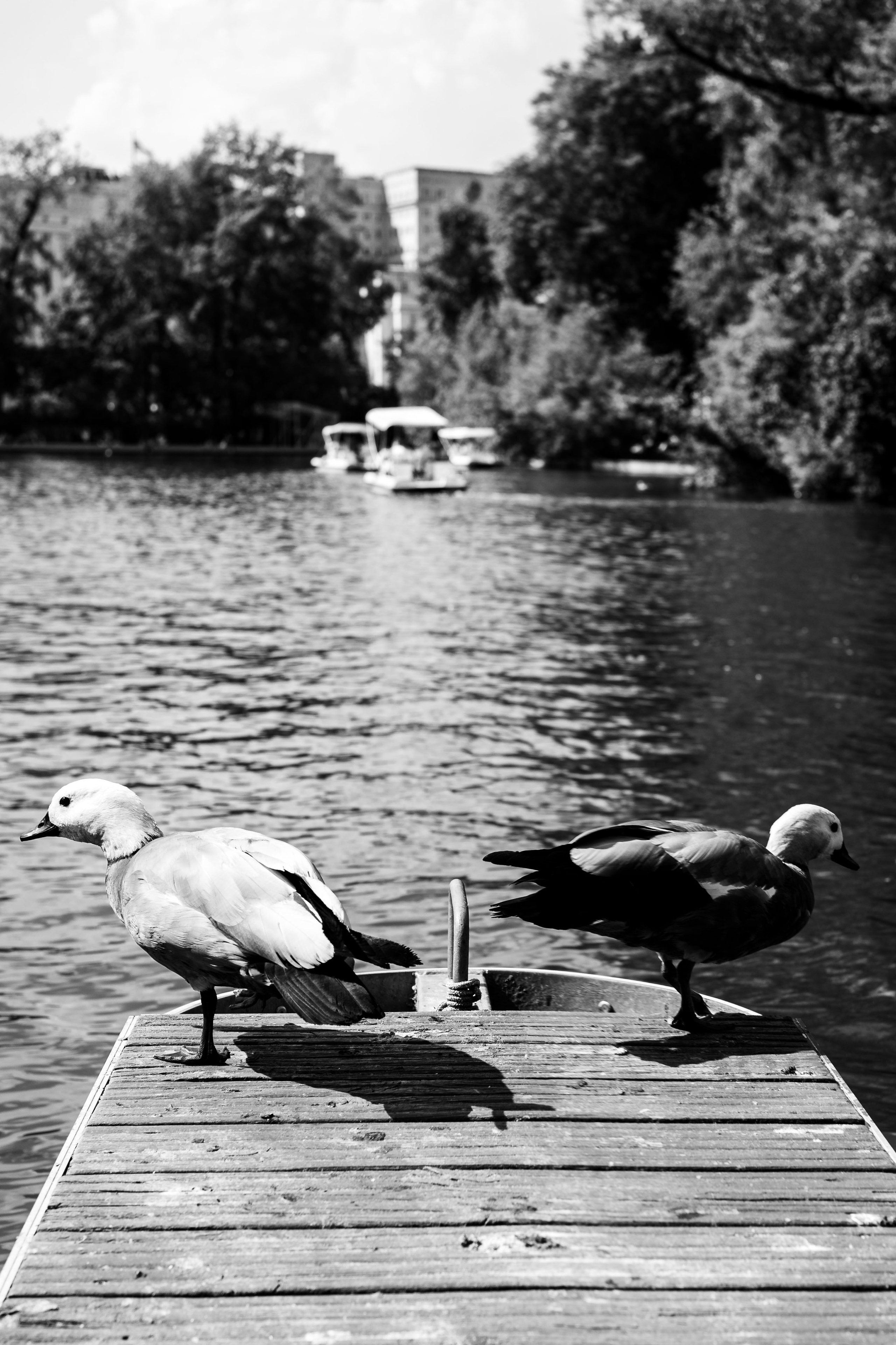 STREET / TRAVEL. Family and travel photographer from Israel