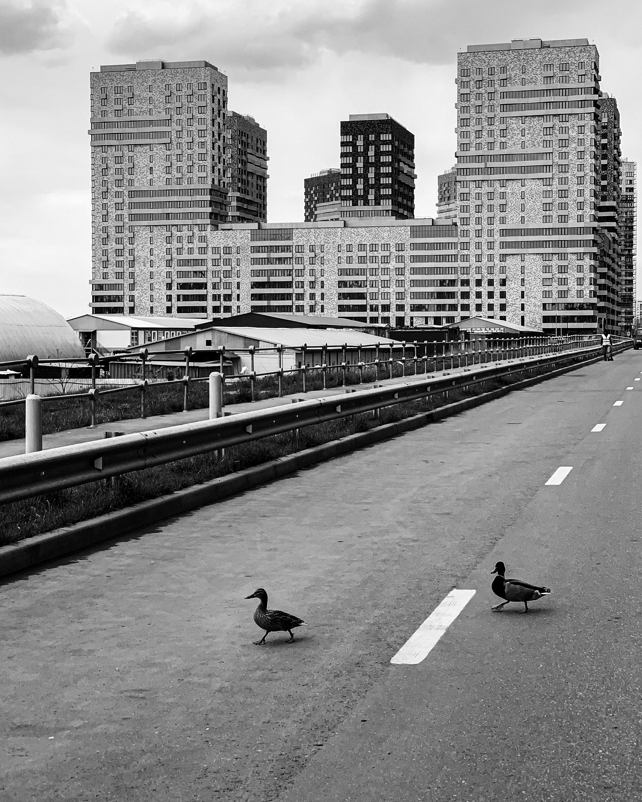 STREET / TRAVEL. Family and travel photographer from Israel