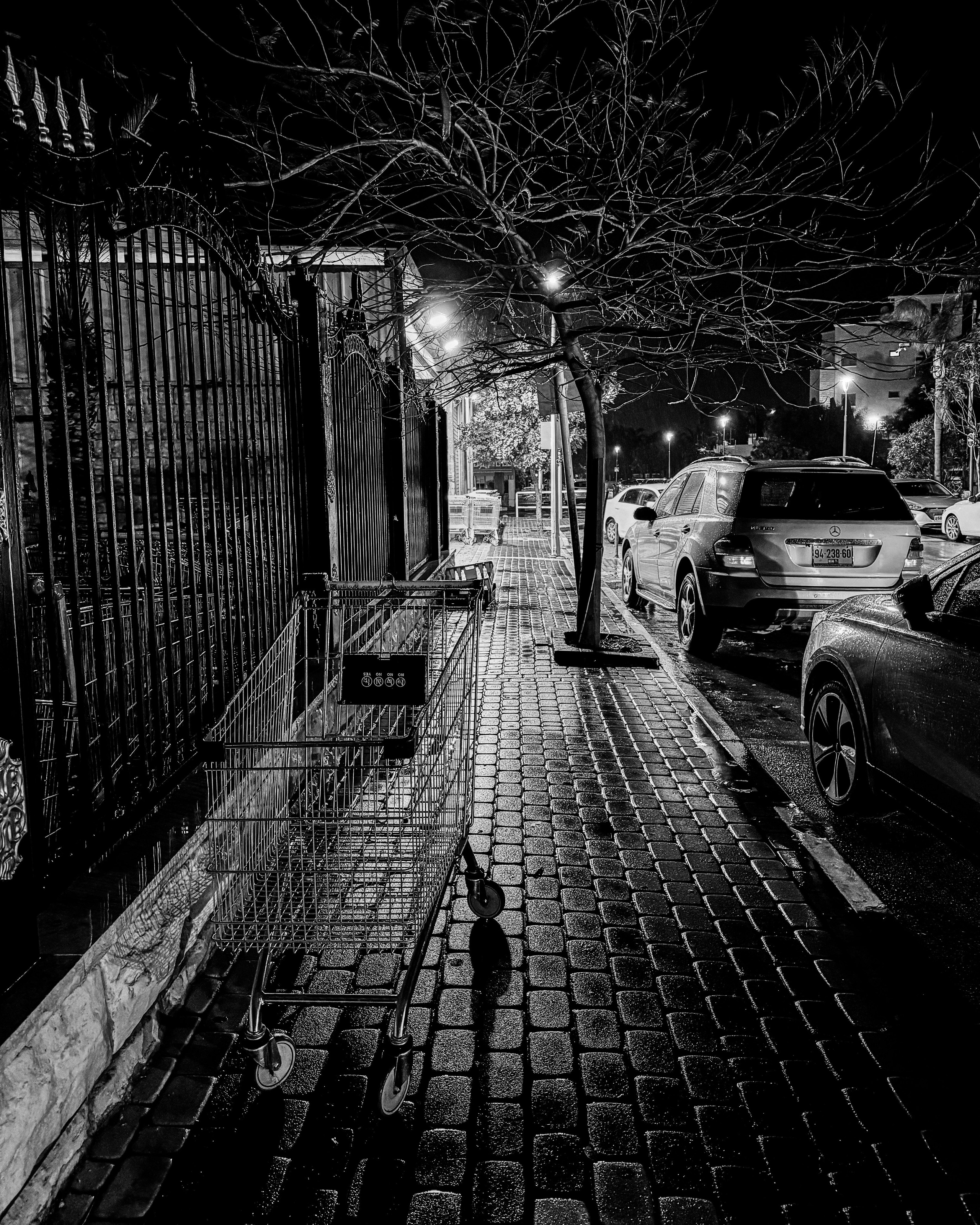 ИЗРАИЛЬ. Family and travel photographer from Israel