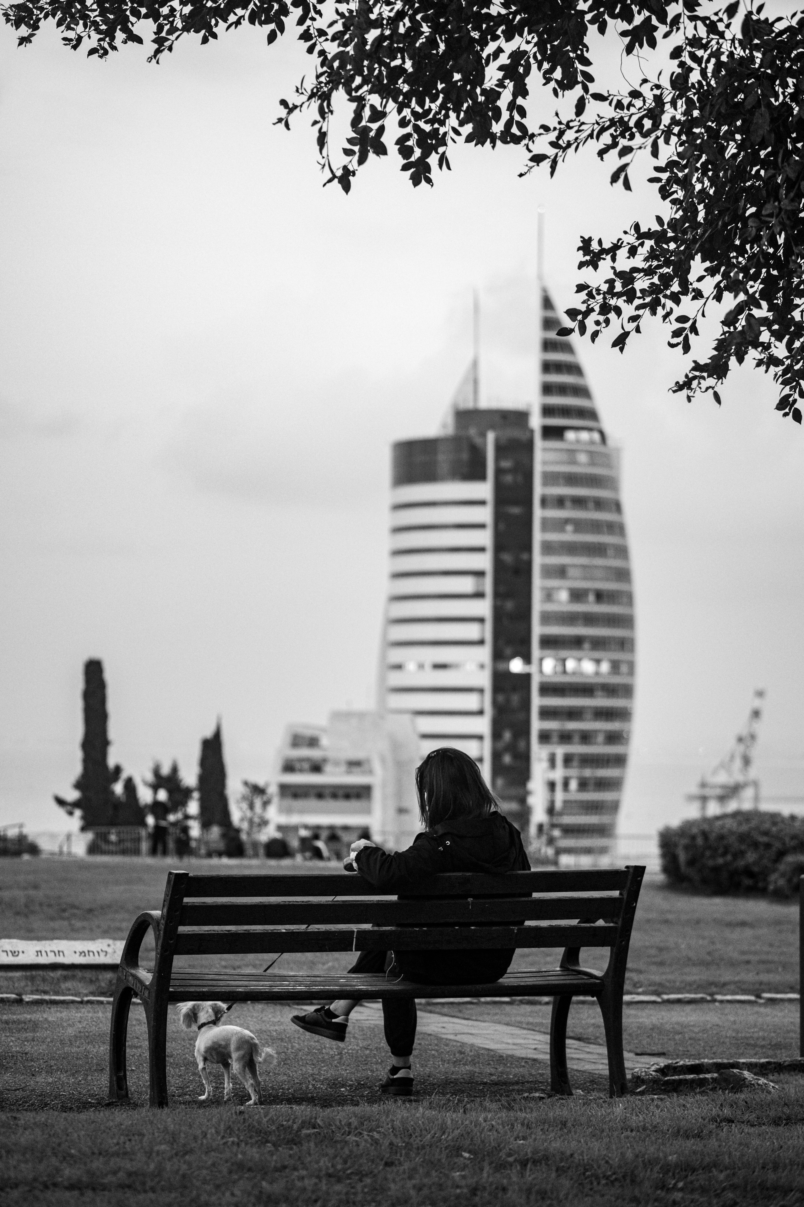 ИЗРАИЛЬ. Family and travel photographer from Israel