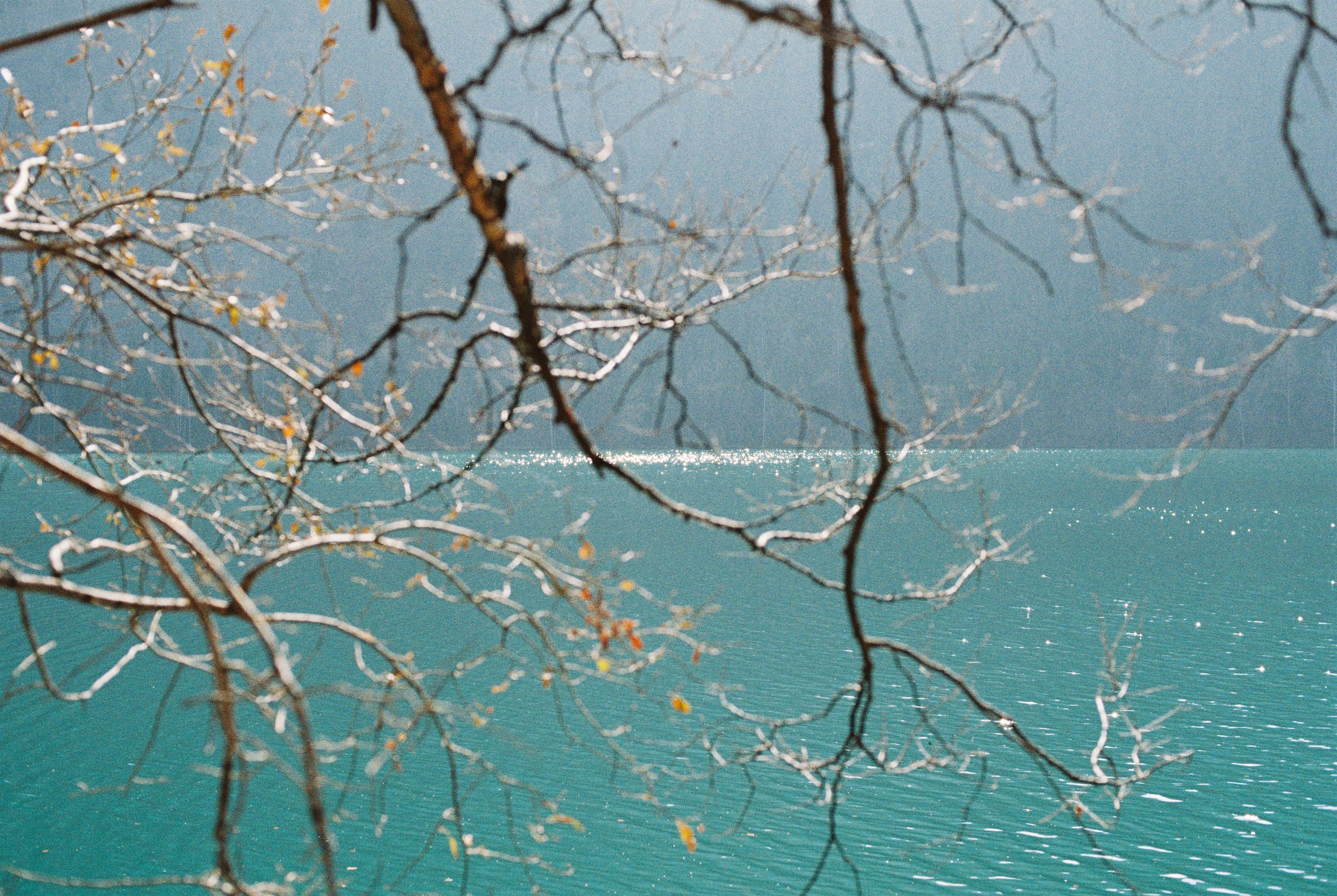 Озеро Иссык, осень 2025. Фотограф в Алматы — Дарья Фёдорова