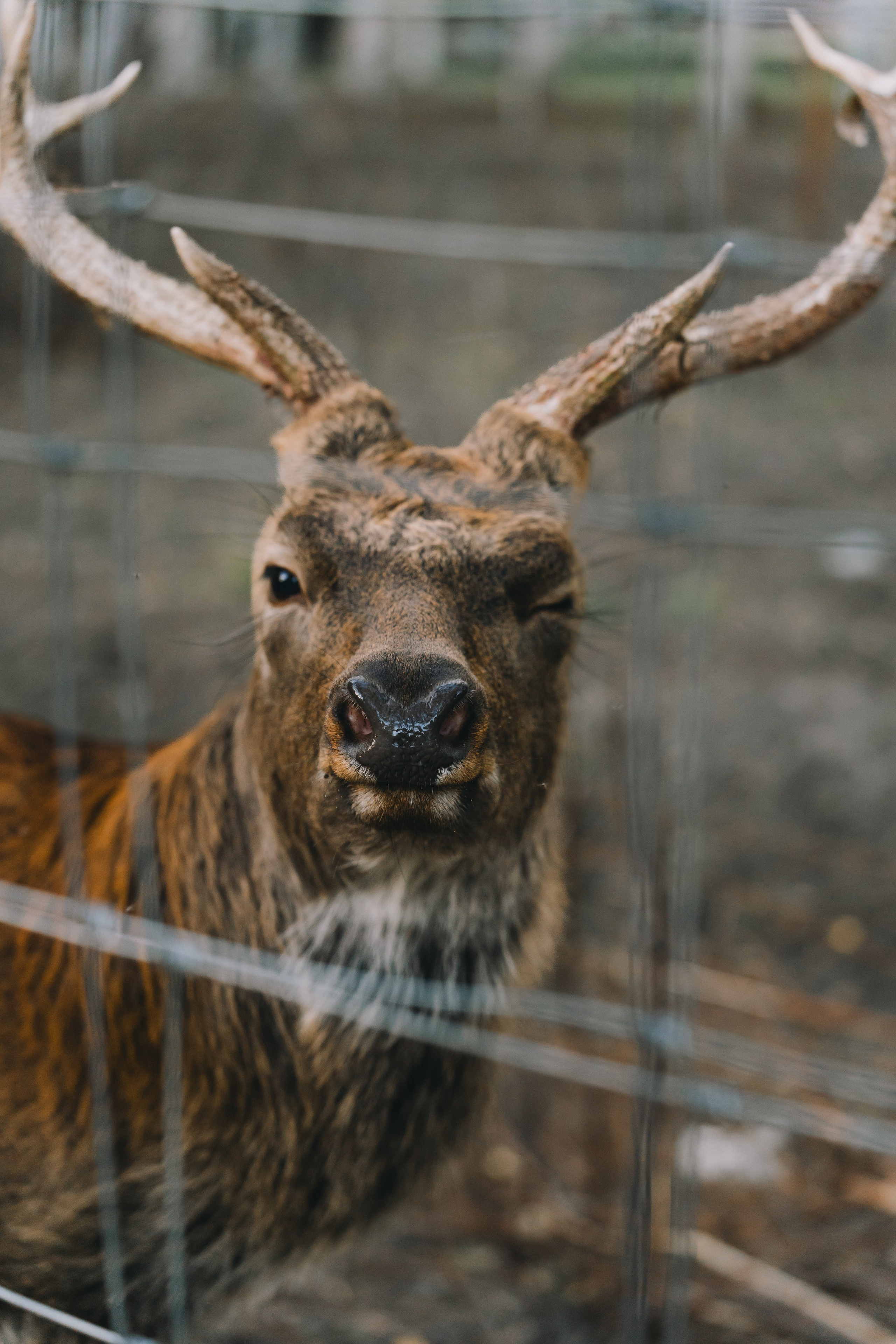 Усть-Каменогорск, Сентябрь 2024