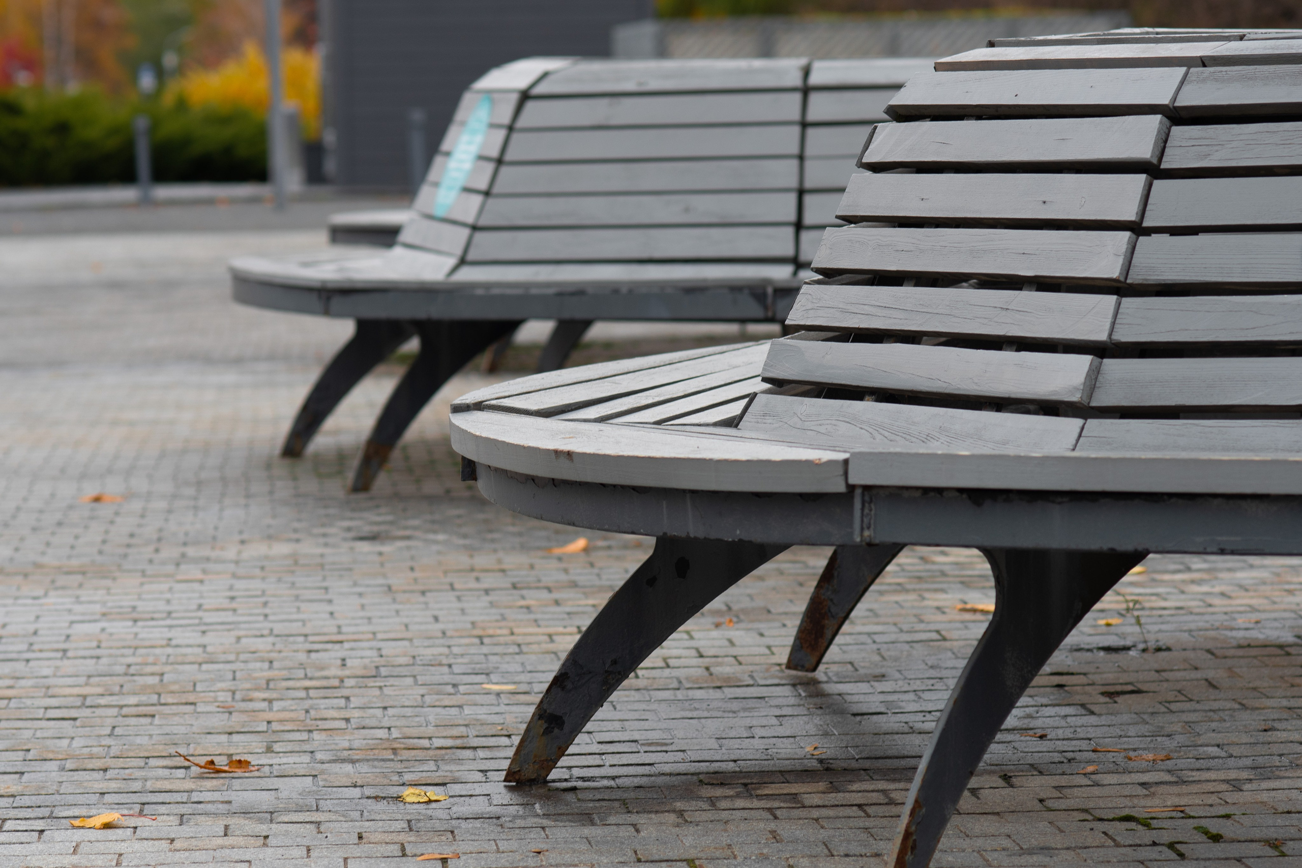 20211017 Музеон. Дмитрий Ремизов. Фотография, как хобби