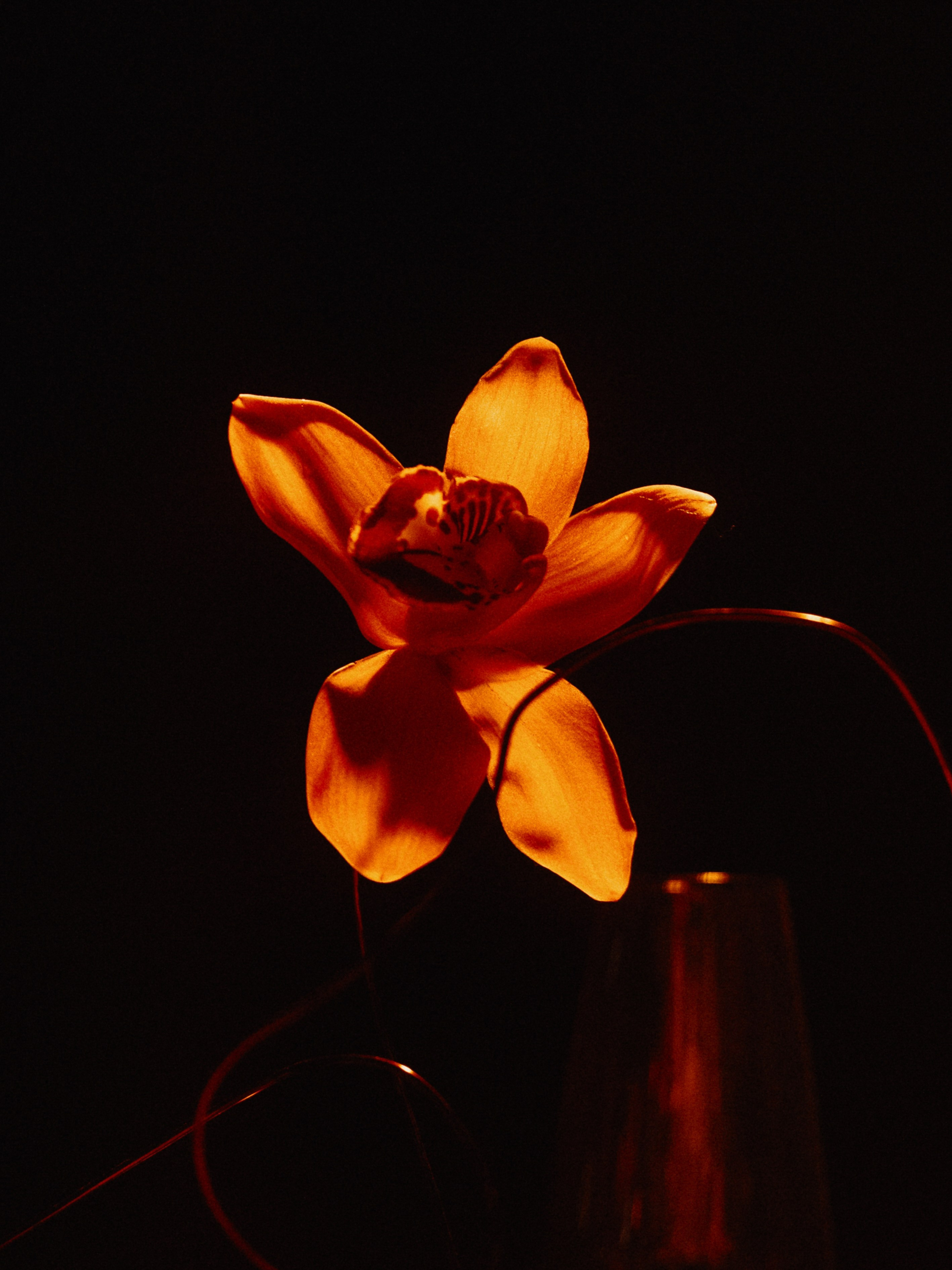 Форма любви. Свадебный фотограф Саша Базенко