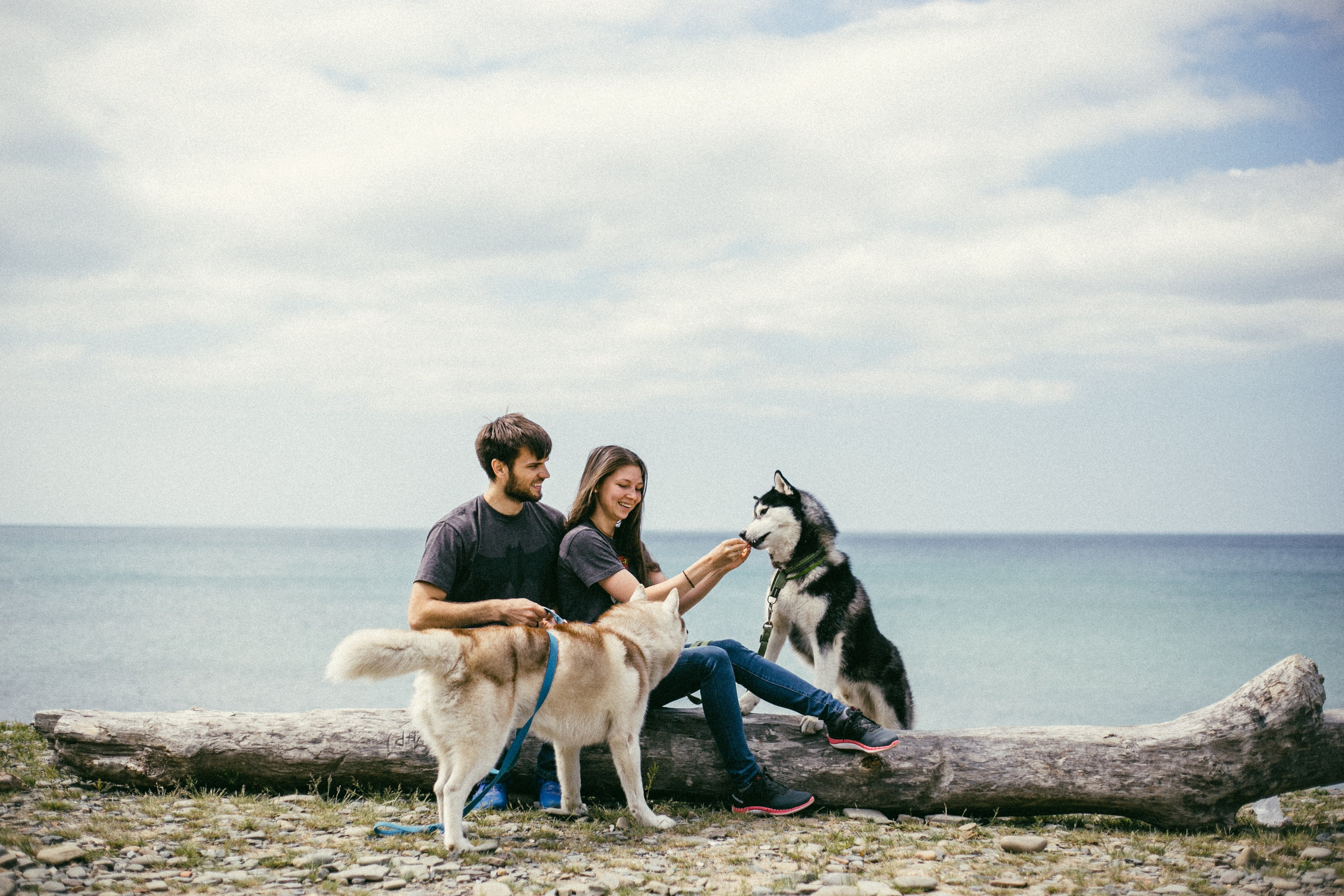 Один чудесный день. Свадебный и семейный фотограф во Владивостоке Овчинникова Дарья