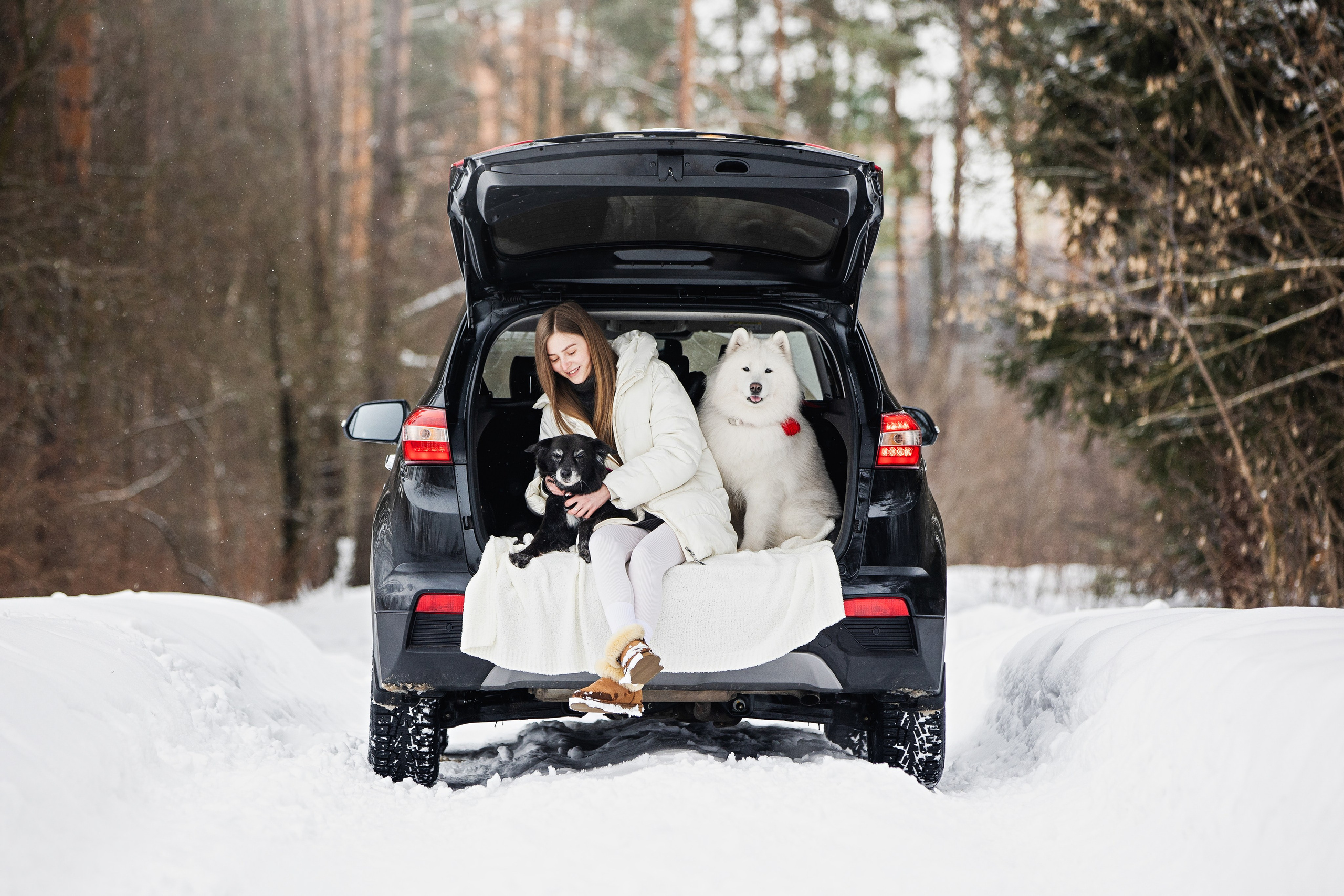Валя, Варя и Лада. Фотограф анималист в Москве Майорова Евгения