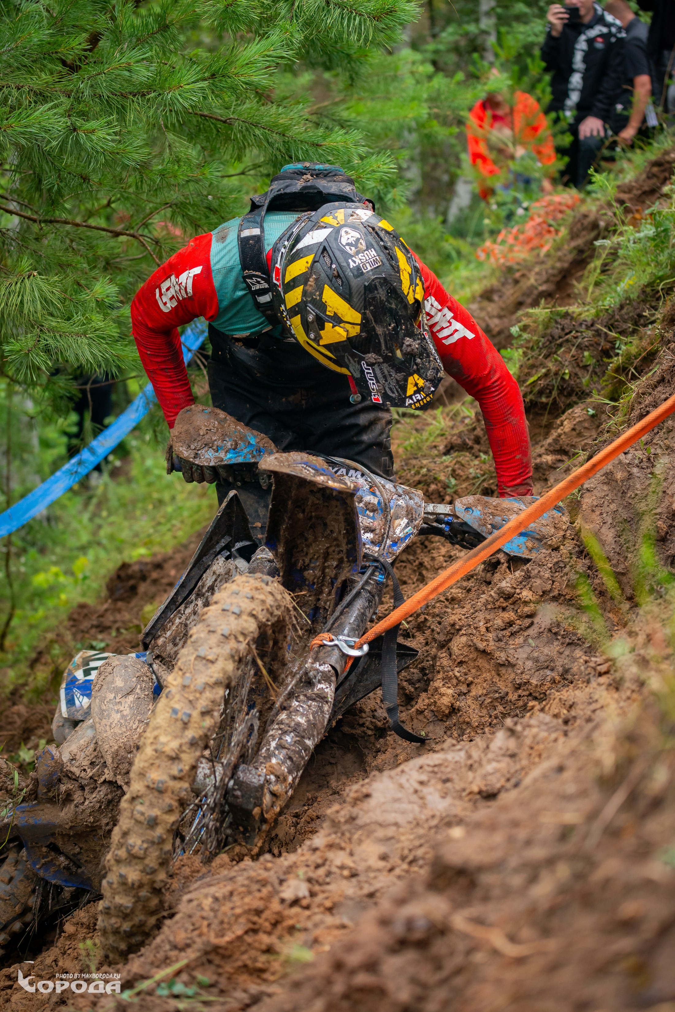 Дубрава 2025. Фотограф | Макс Борода