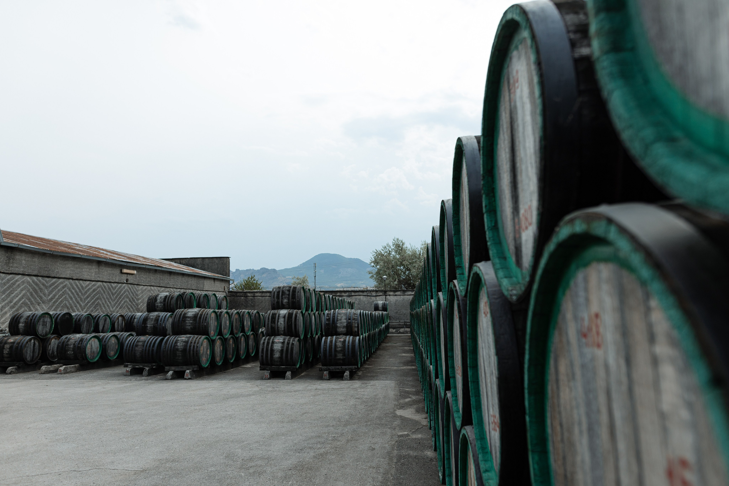 Виноградный завод. Евгения Волошина Фотограф Москва / Белгород