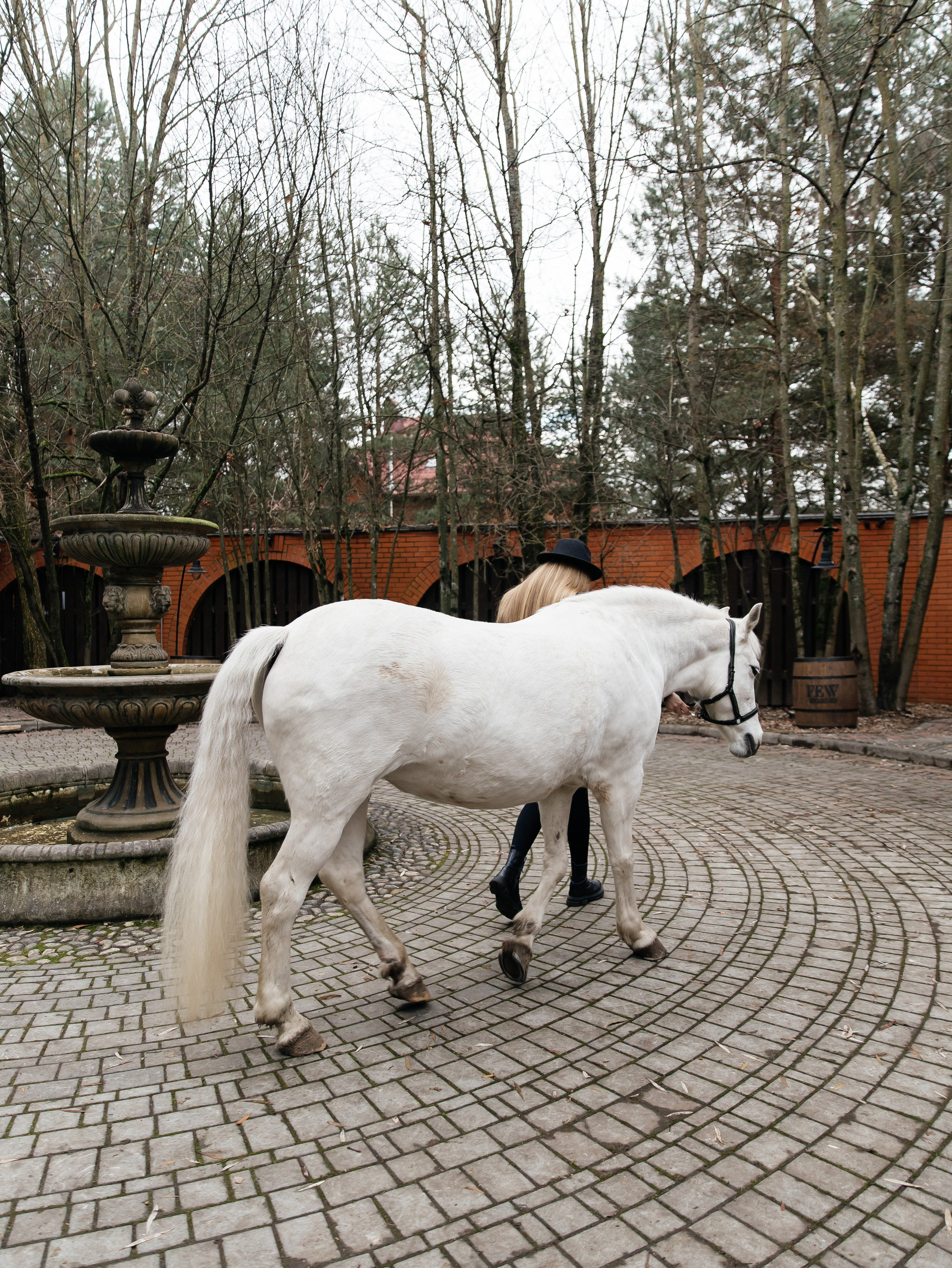 Ферма «Few Horses». Фотограф | портрет | бренды | репортаж