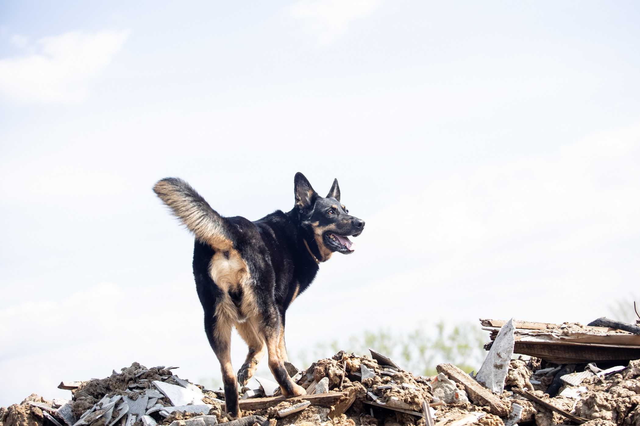 ПСС Соревнования в Нижегородской области г. Чкаловск 2023-04-28. Фотограф Ирина Астор