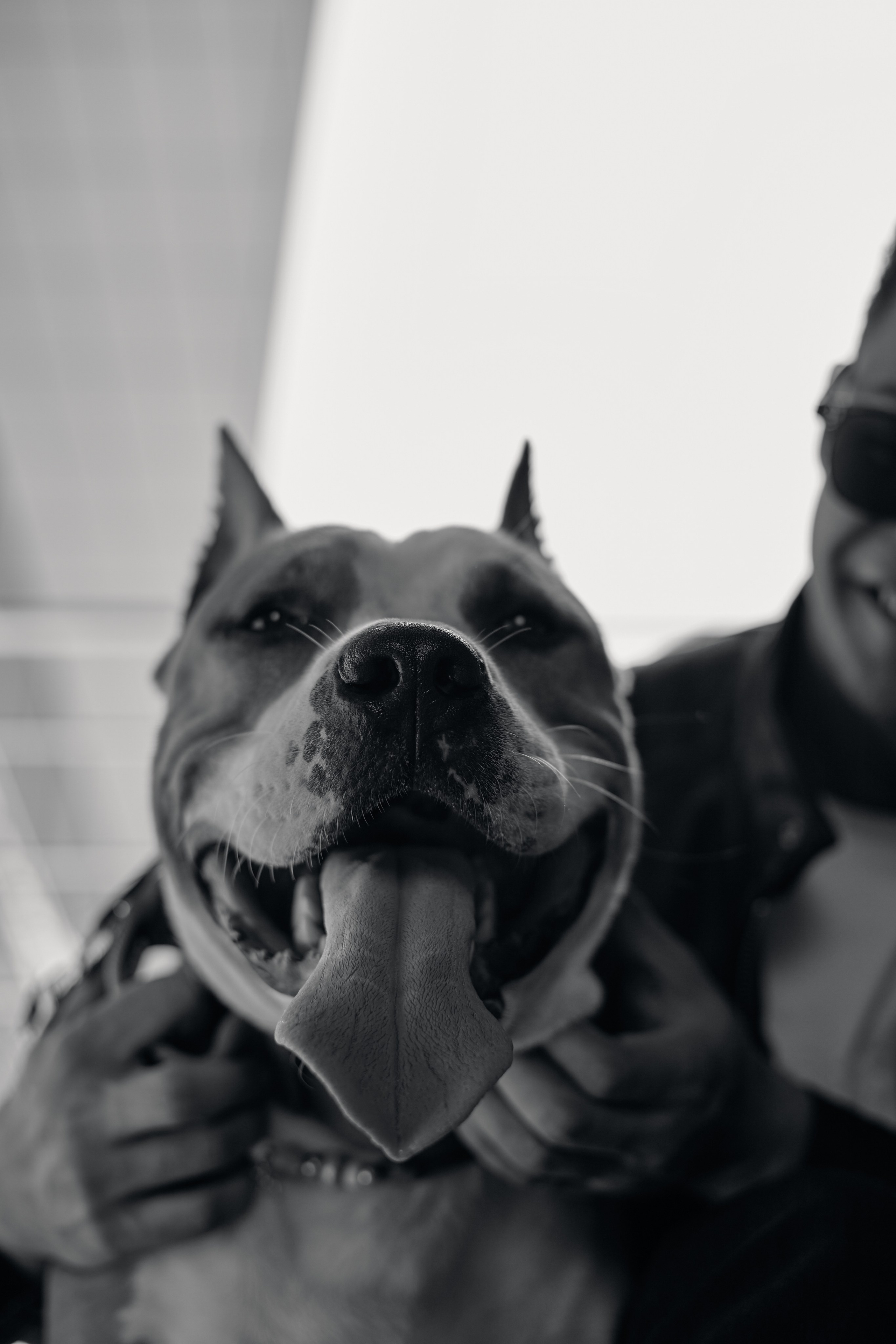 Абдо (прогулка с собакой). Фотограф из Казани