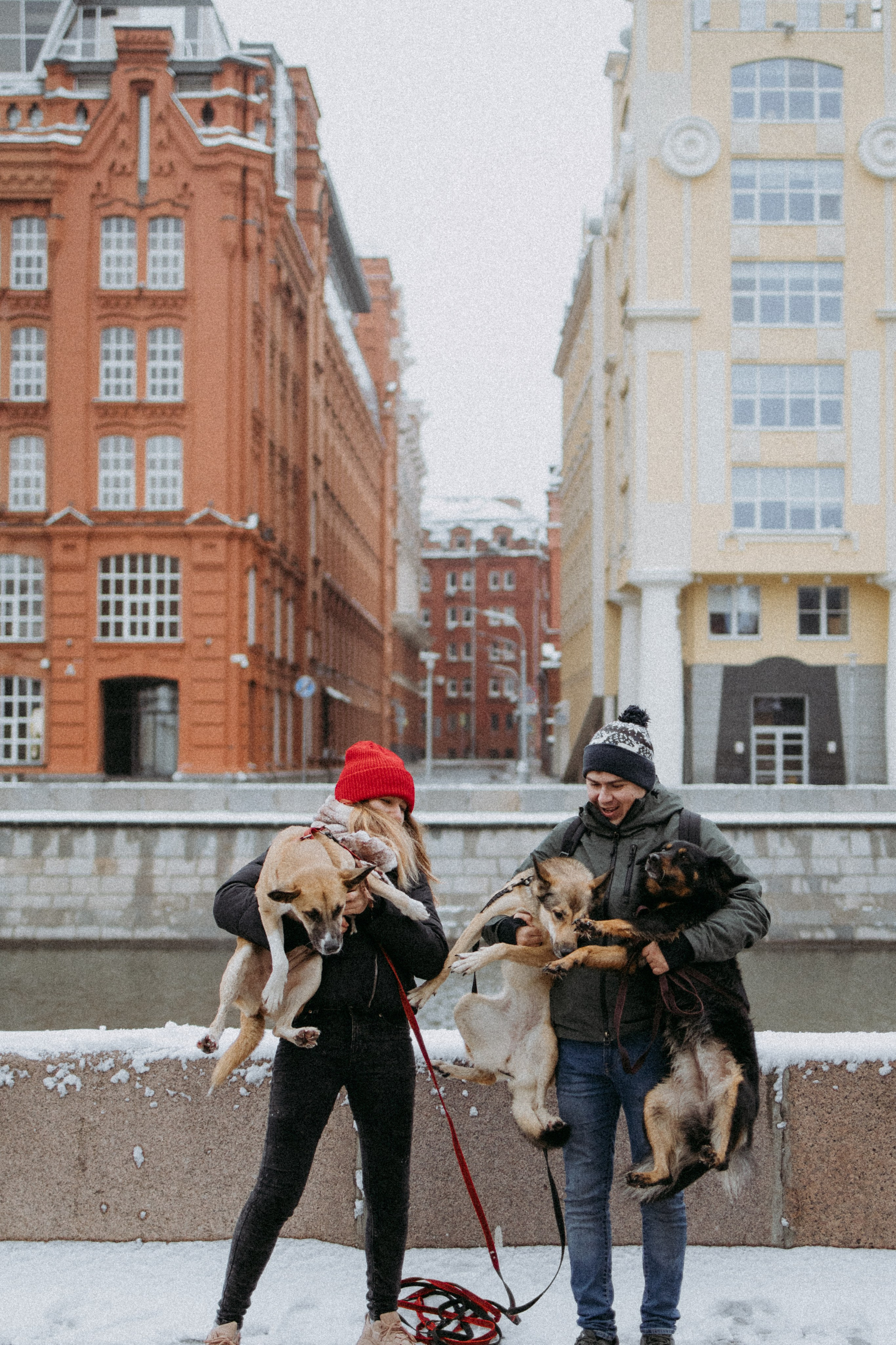 Саша, Ксюша и их банда. Фотораф — анималист Мария Шистка