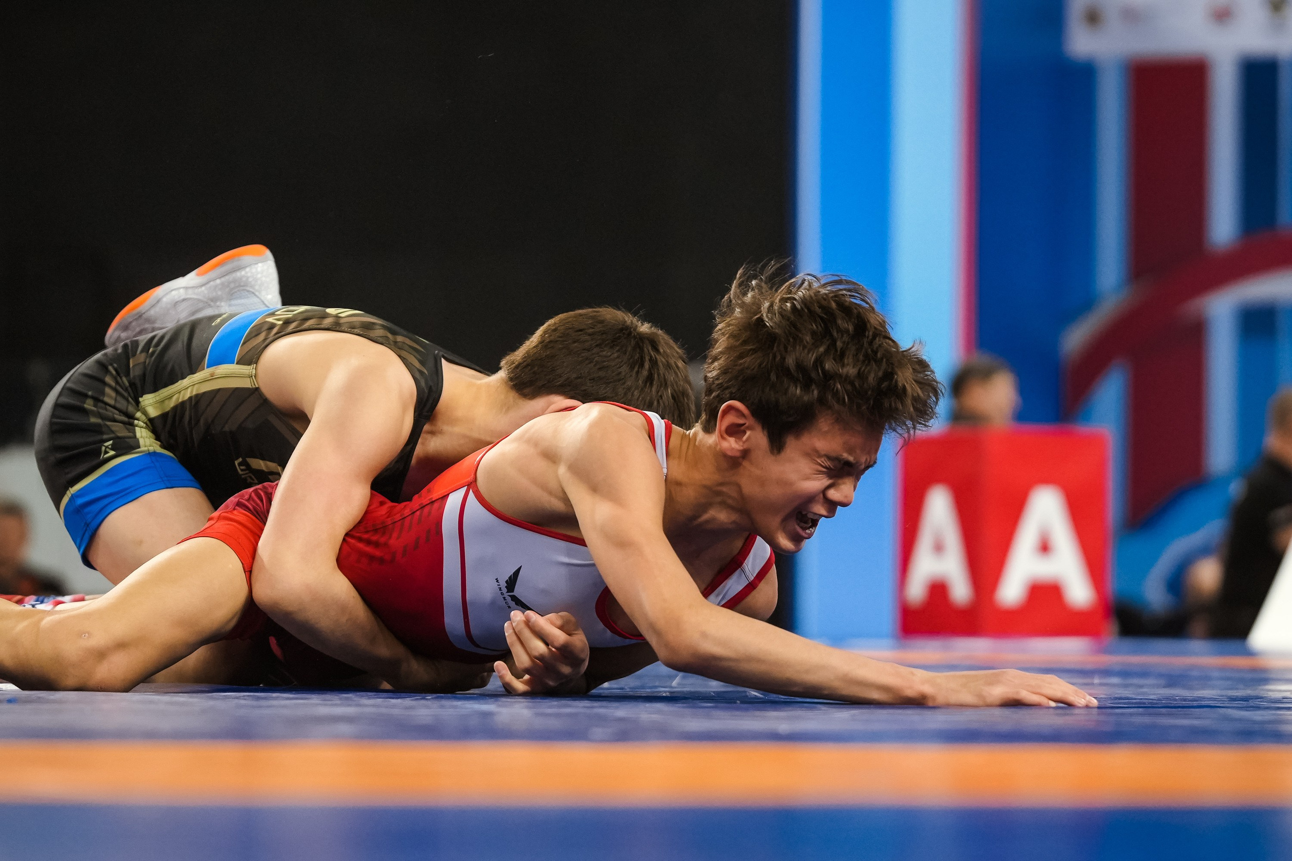 ПЕРВЕНСТВО РОССИИ по вольной борьбе 2025 Красноярск