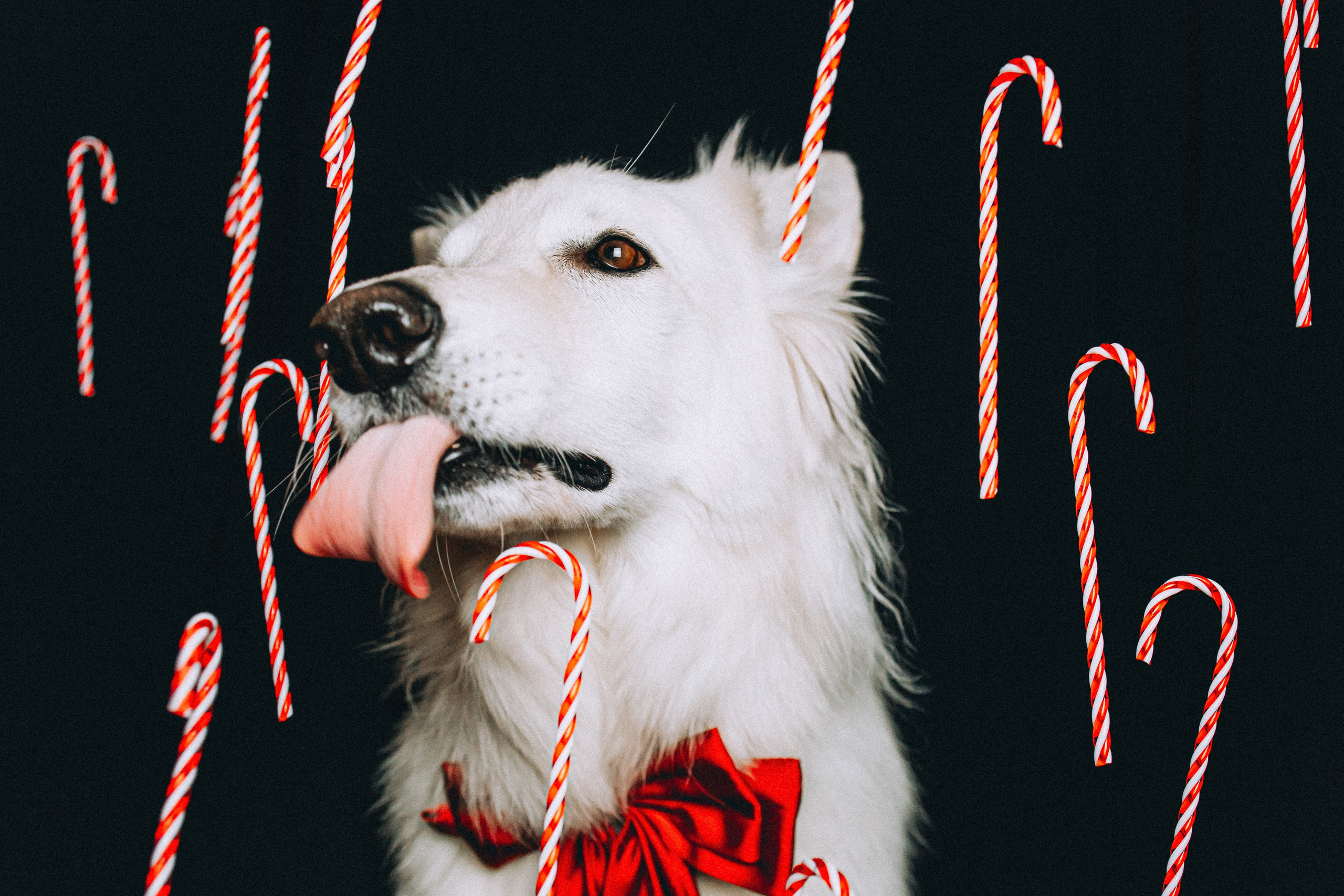 Джек, Бет и Кову