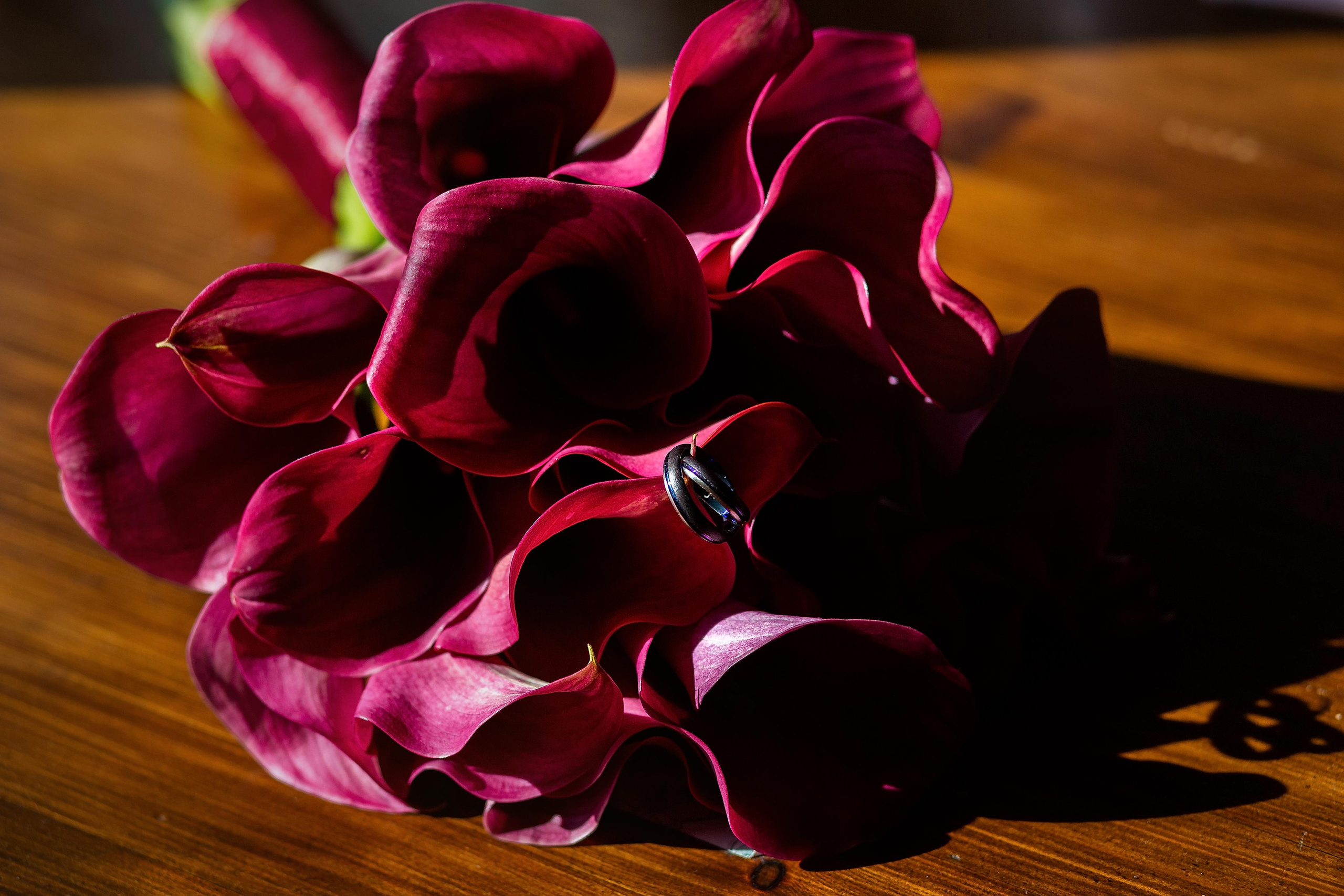 💍Свадьбы. Душевный фотограф в Санкт-Петербурге. Свадебные и семейные фотосессии