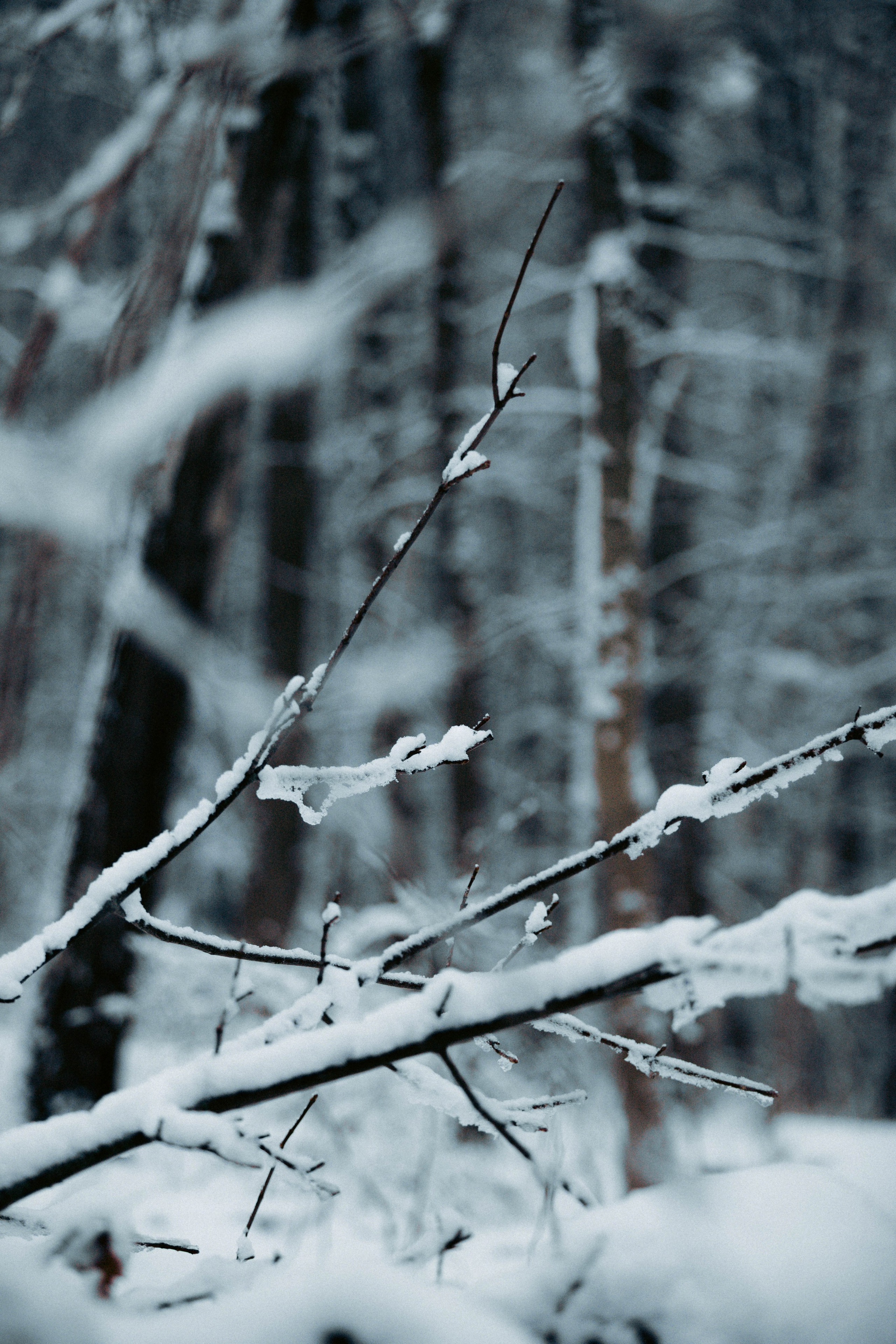 Марафон у дома_Бунино. Александра Мельниченко/ Бегающий фотограф