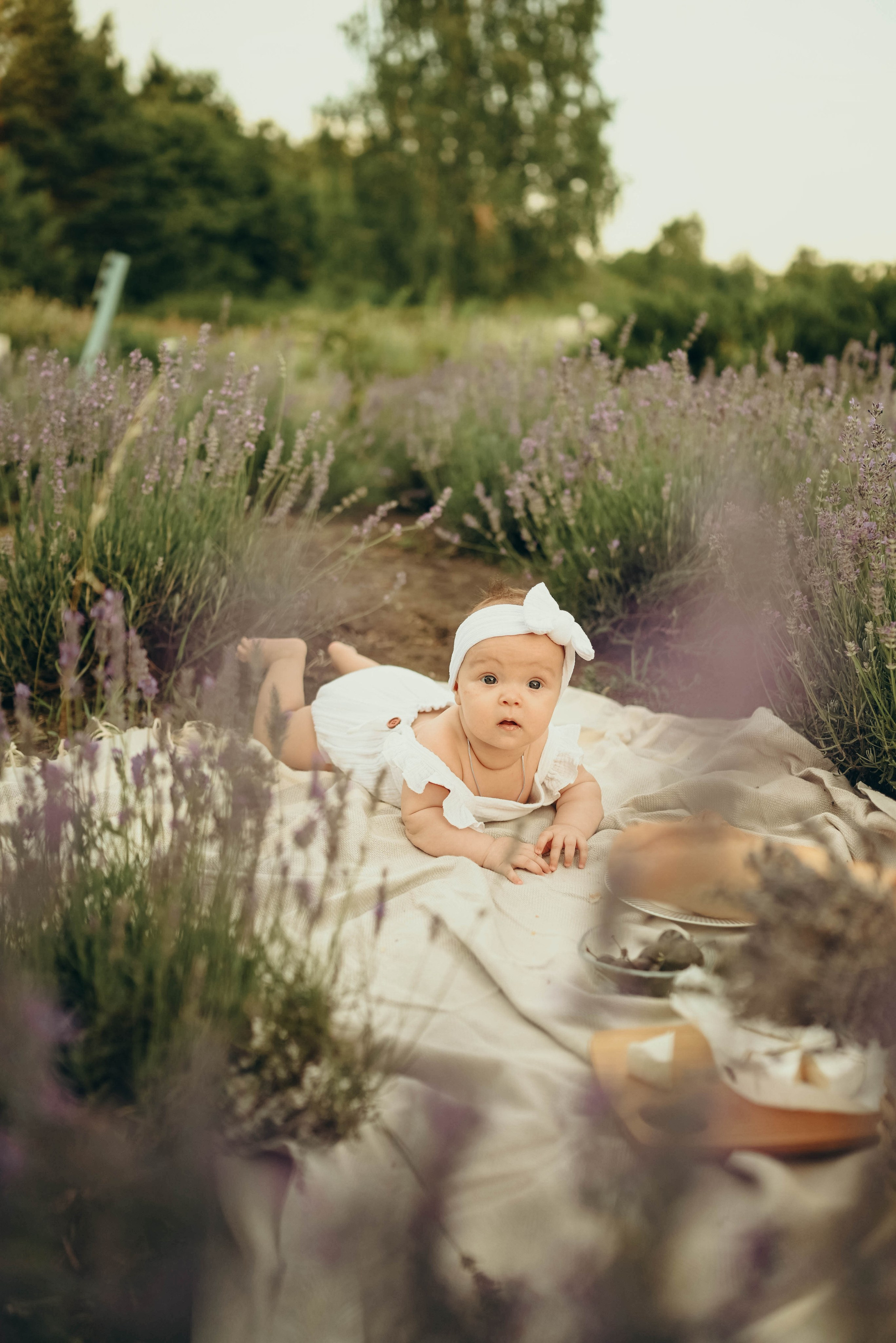 Лавандовая история в бот.саду Воронежа. Семейный фотограф в Москве Люберцах Ирина Вронская