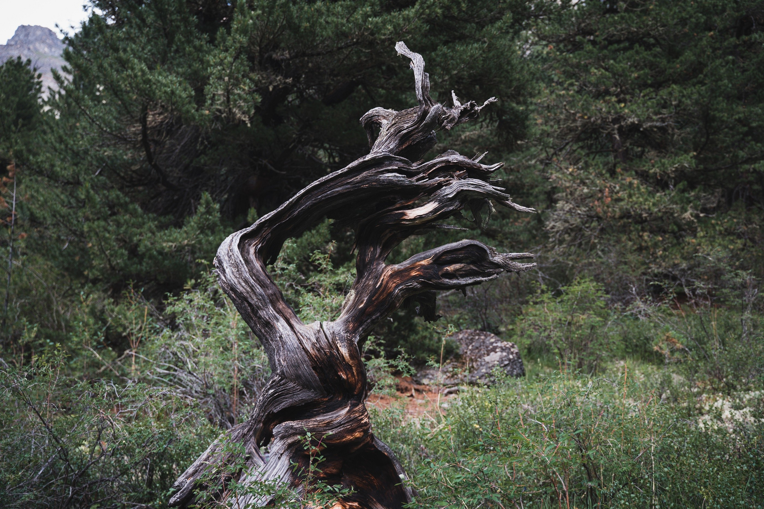 Алтай. Шавлинские озера. Фотограф в поход и восхождение на Эльбрус Игорь Косарев
