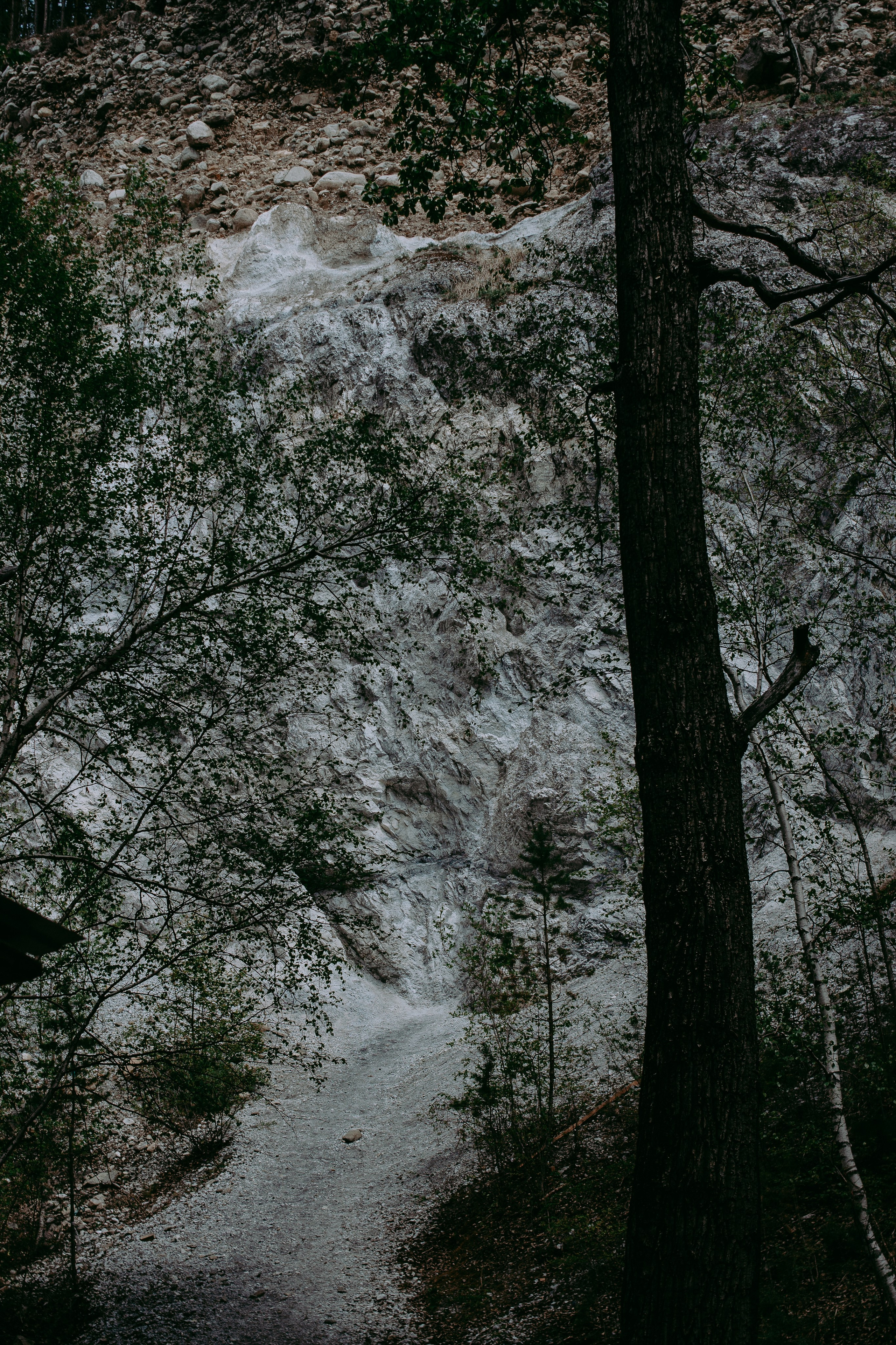 Ретрит на Байкале / Школа Ведических знаний SoVA / 7 дней, 2023. Борщевская Елизавета / фотограф Иркутск