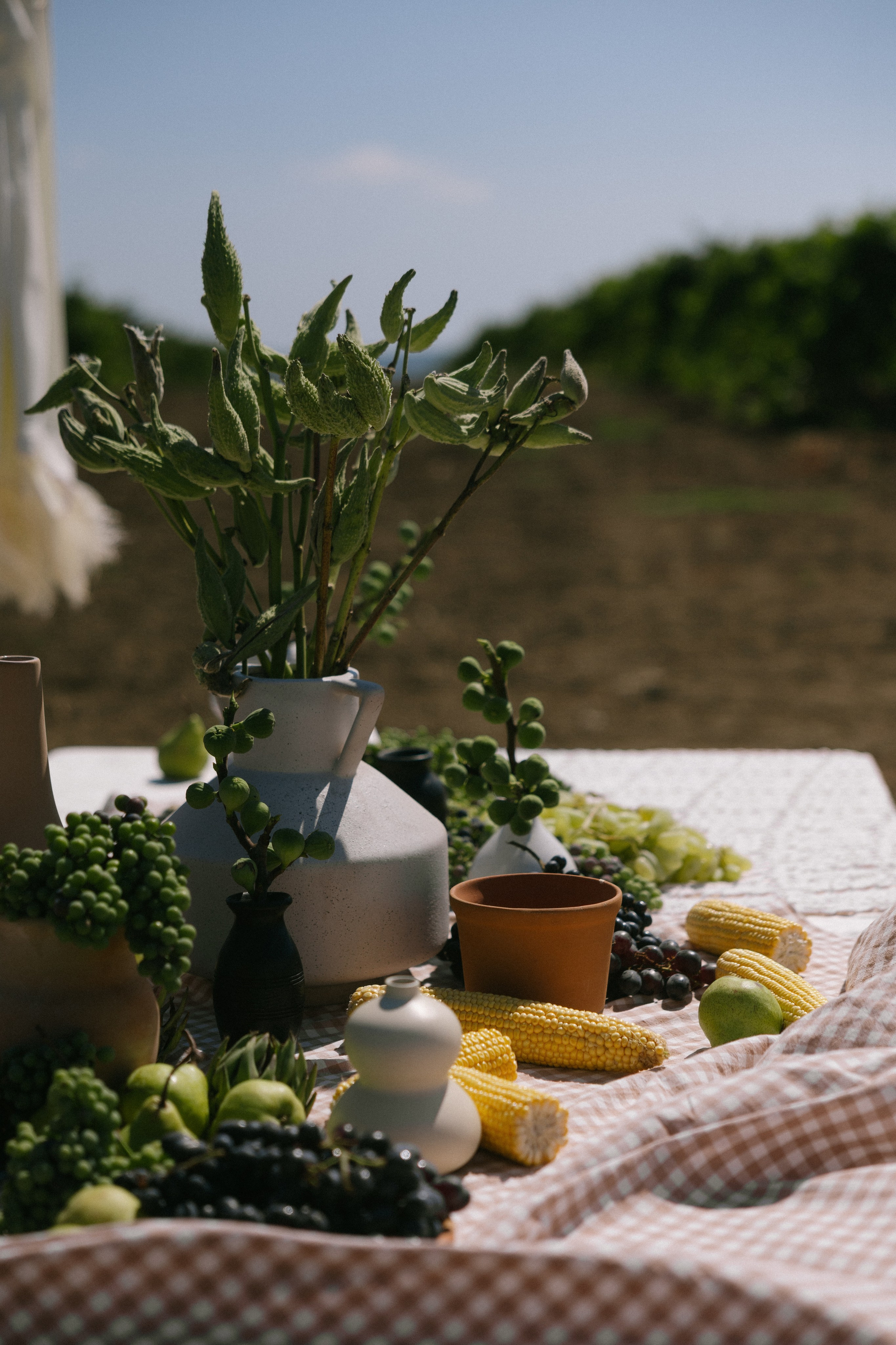 Потанцуй со мной!. Свадебный и репортажный фотограф Новороссийск, Краснодар, Сочи Олеся Дзюба