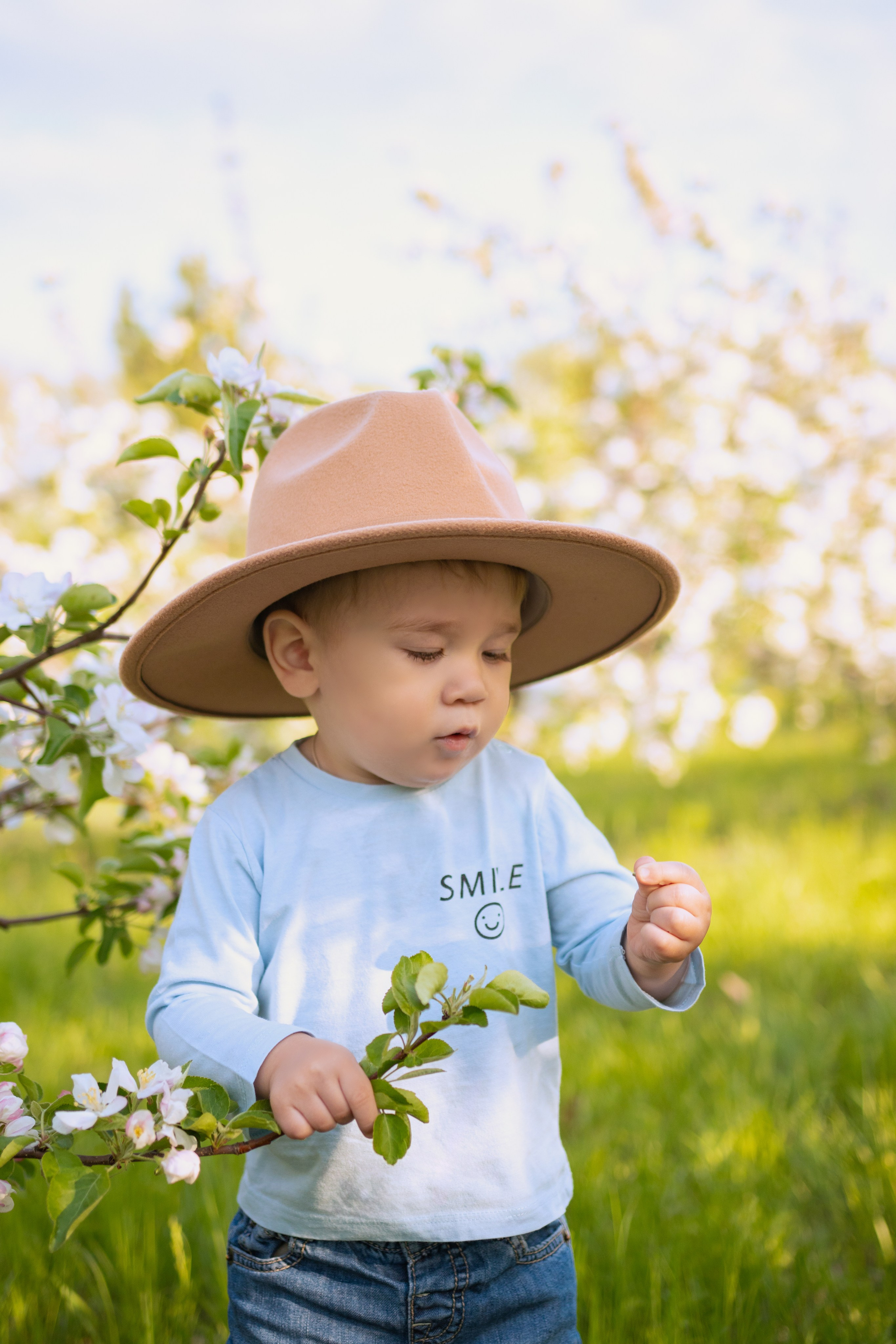 Семейная фотосессия в яблонях. Семейный Фотограф в Красноярске Анастасия Попова