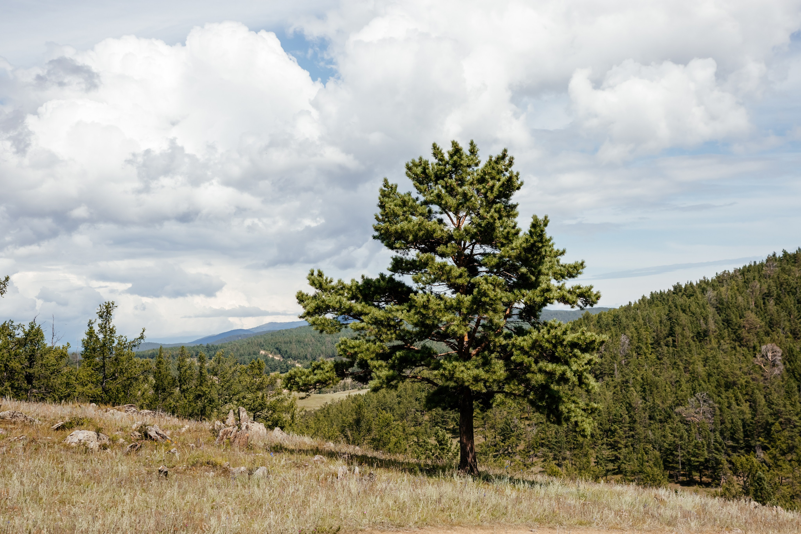 Байкал. Фотограф в Красноярске Оксана Корчагина