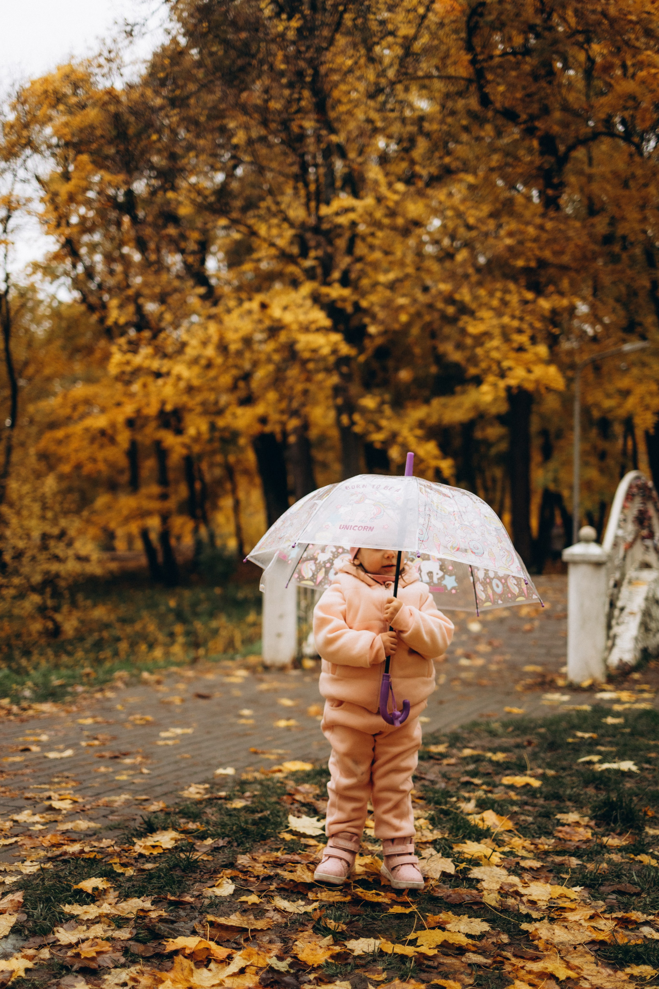 Осенняя семейная фотосъемка (11.10.2025 г.) г. Обнинск (Калужская обл.). Надежда Стар семейный и церковный фотограф в Жукове и Калужской области