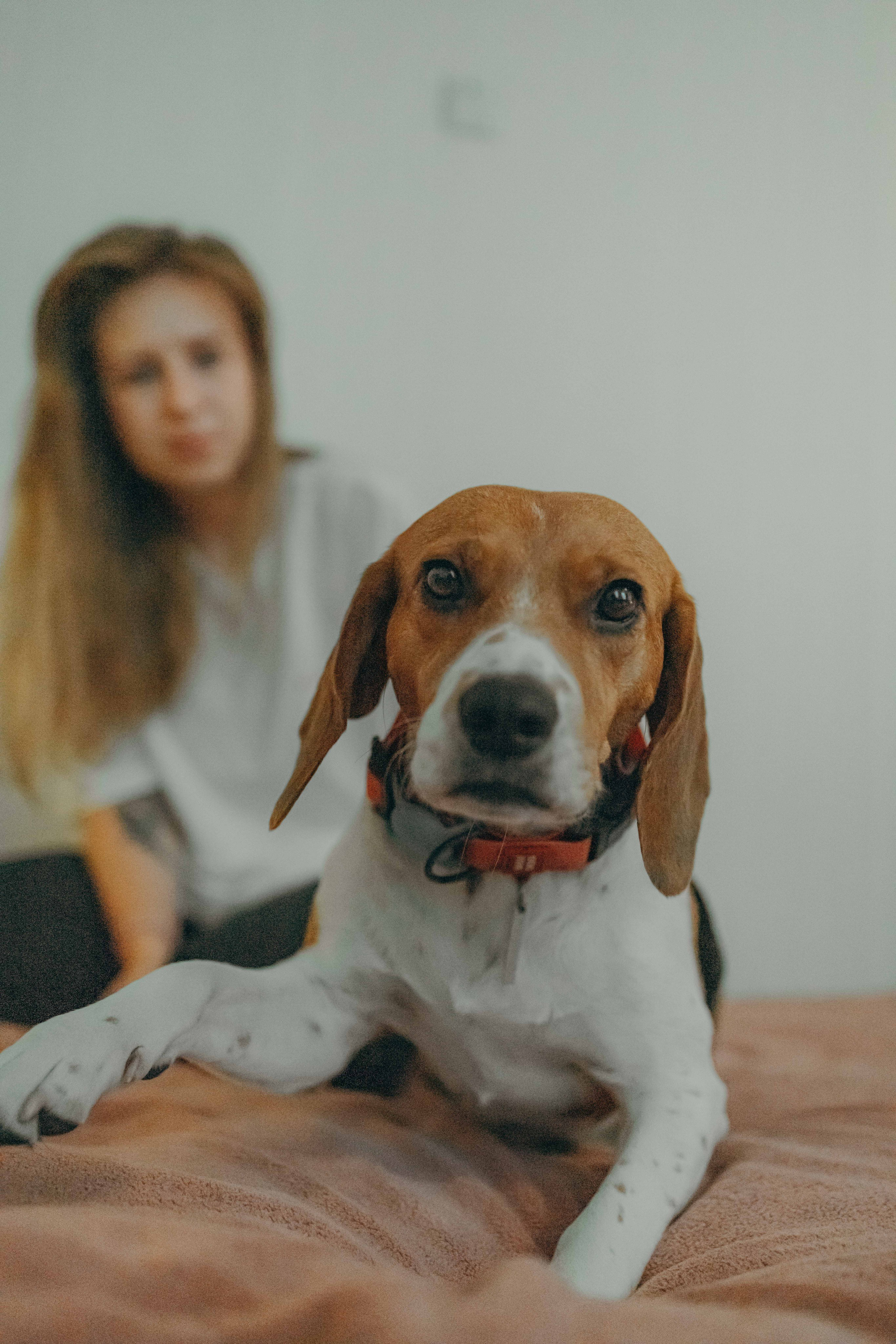 Света и Ива. Фотограф-анималист в Москве Лера Черноног
