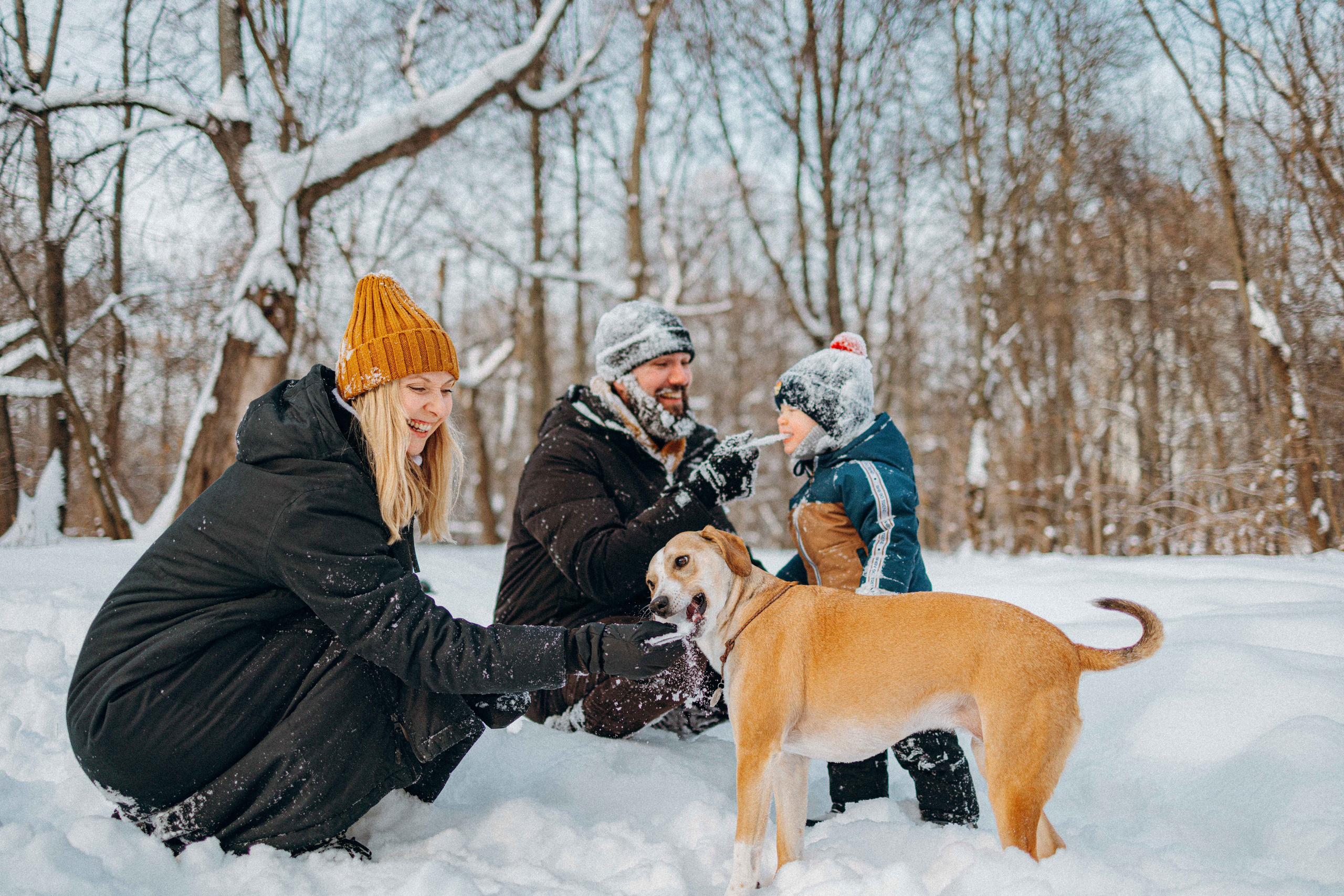 Свобода и ее семья. Фотограф-анималист в Москве Лера Черноног