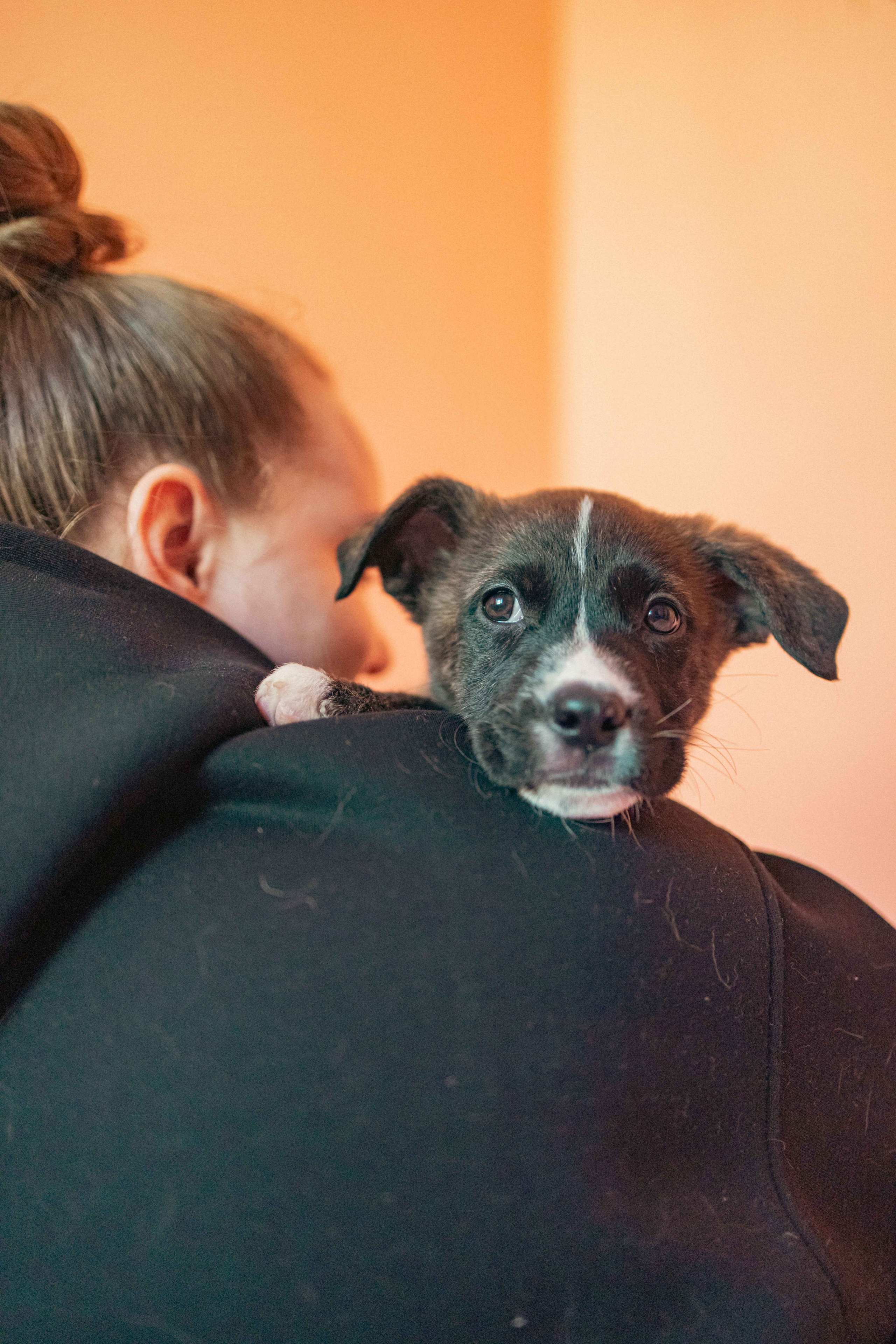 Гайка. Фотограф-анималист в Москве Лера Черноног