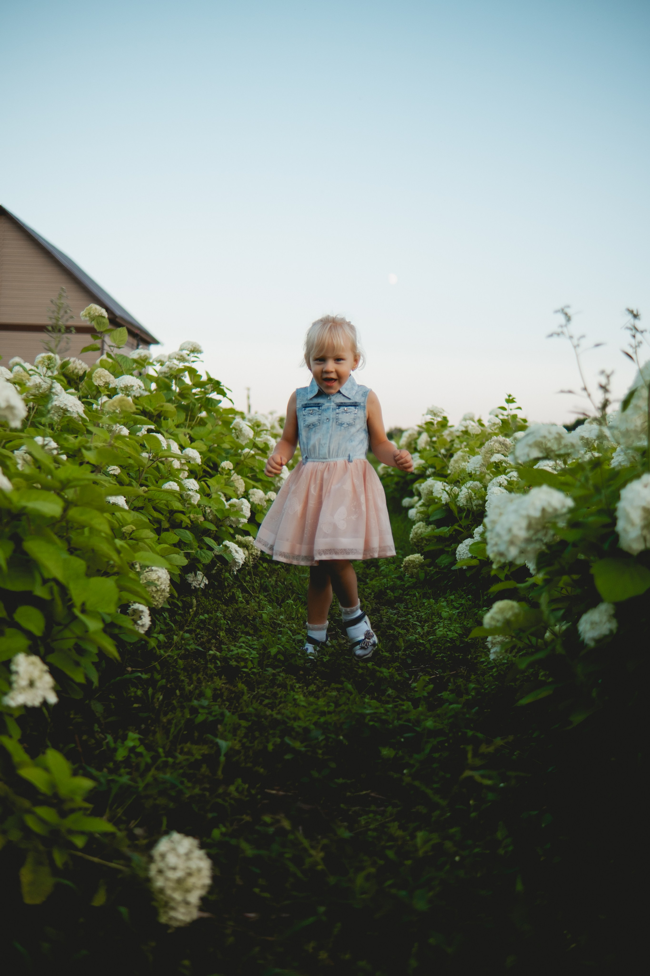 Семейная съемка в лованде. Nattie.ph